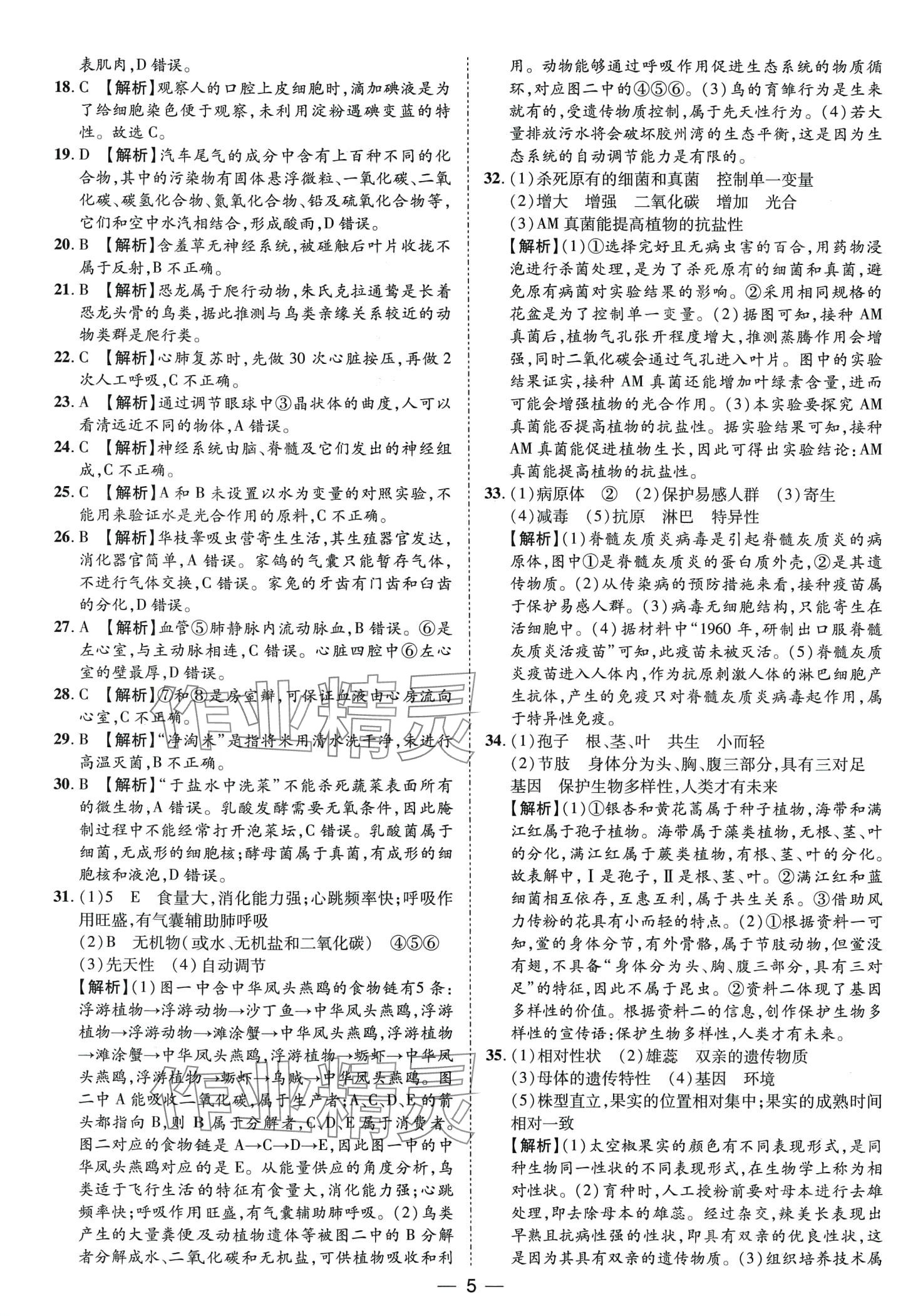 2024年鲁人泰斗中考必备中考试题汇编生物中考山东专版&nbsp;第5页