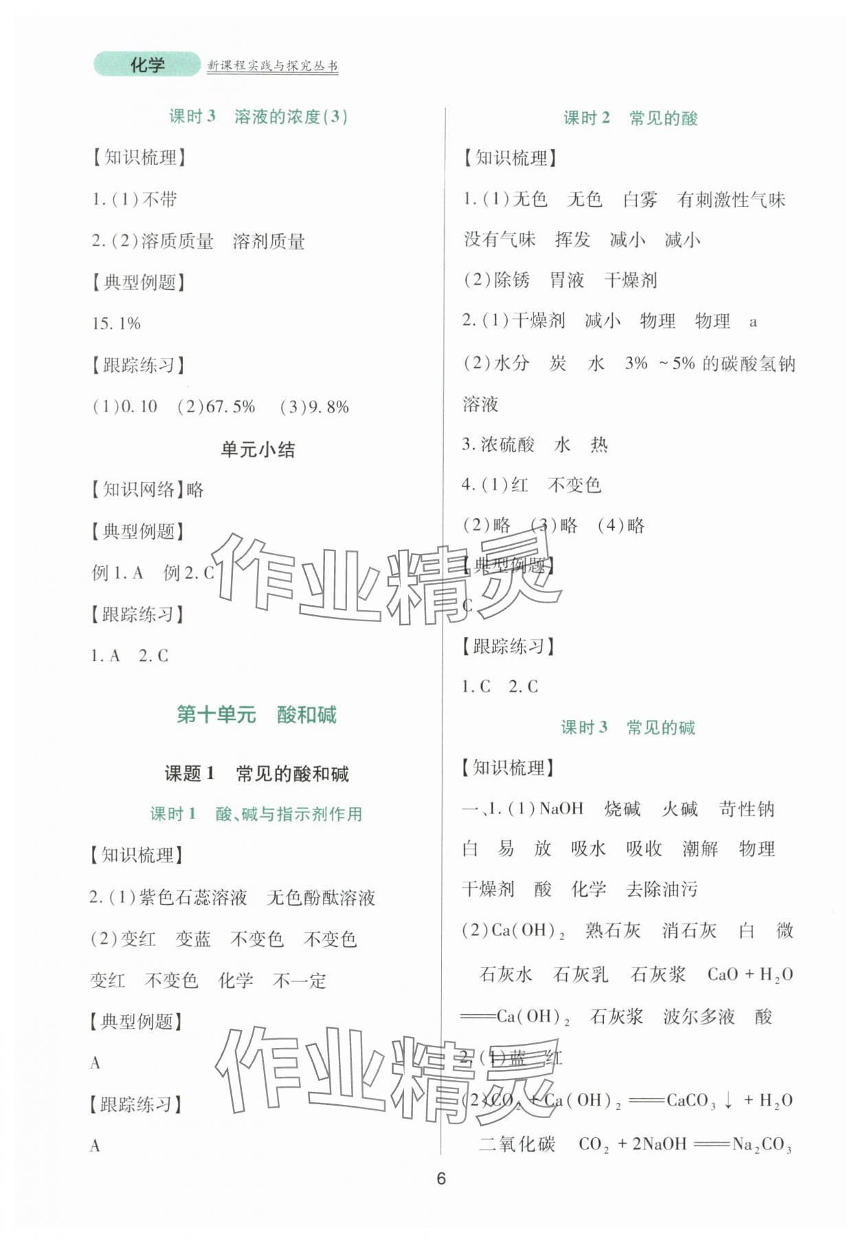 2024年新课程实践与探究丛书九年级化学下册人教版 第6页