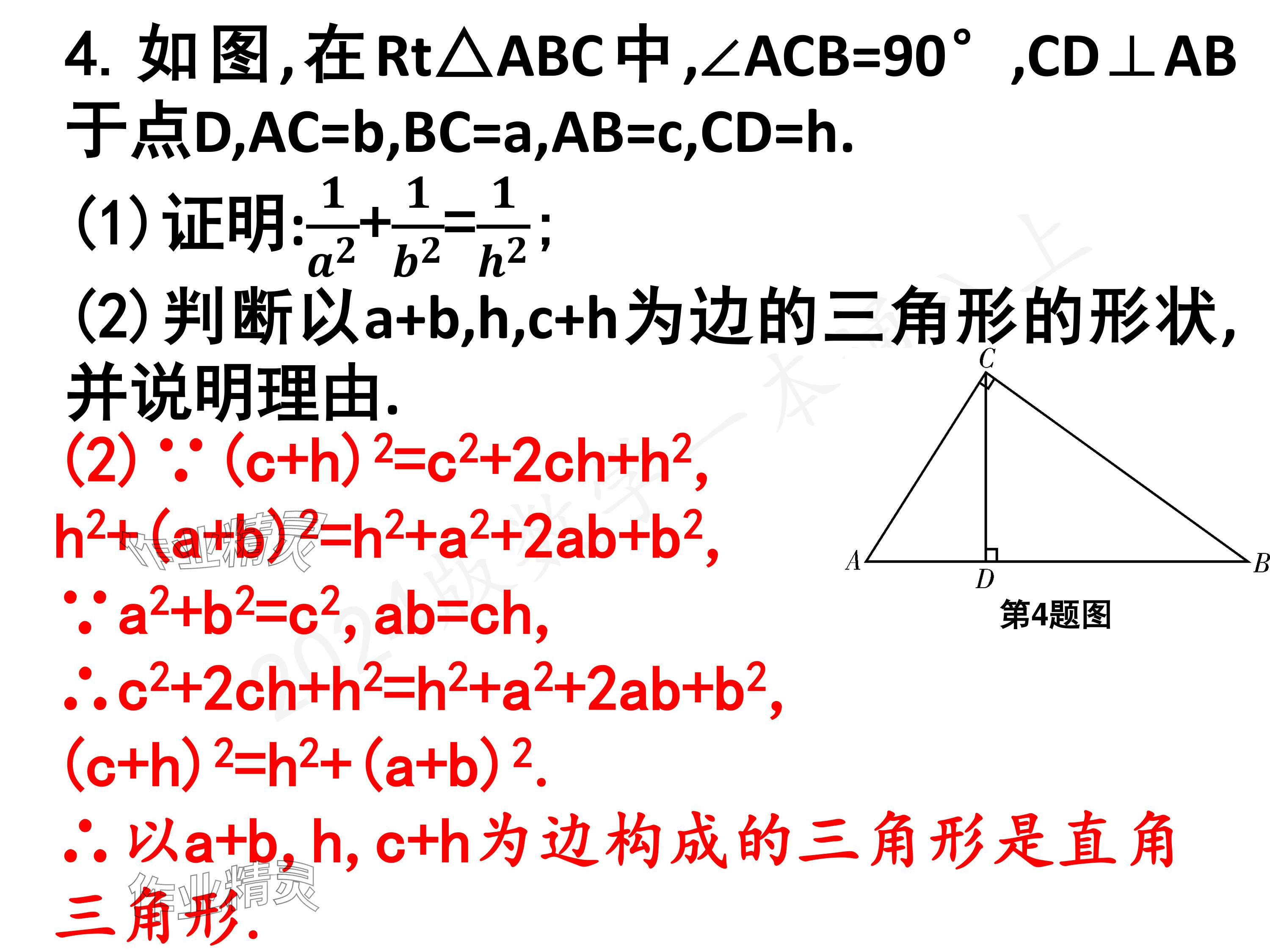 2024年一本通武漢出版社八年級數(shù)學(xué)上冊北師大版核心板 參考答案第48頁