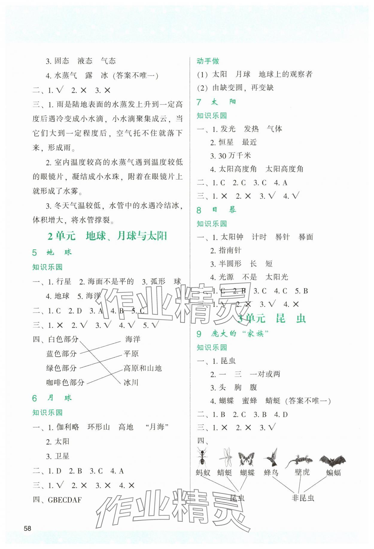 2025年新课程学习与评价四年级科学下册苏教版 第2页