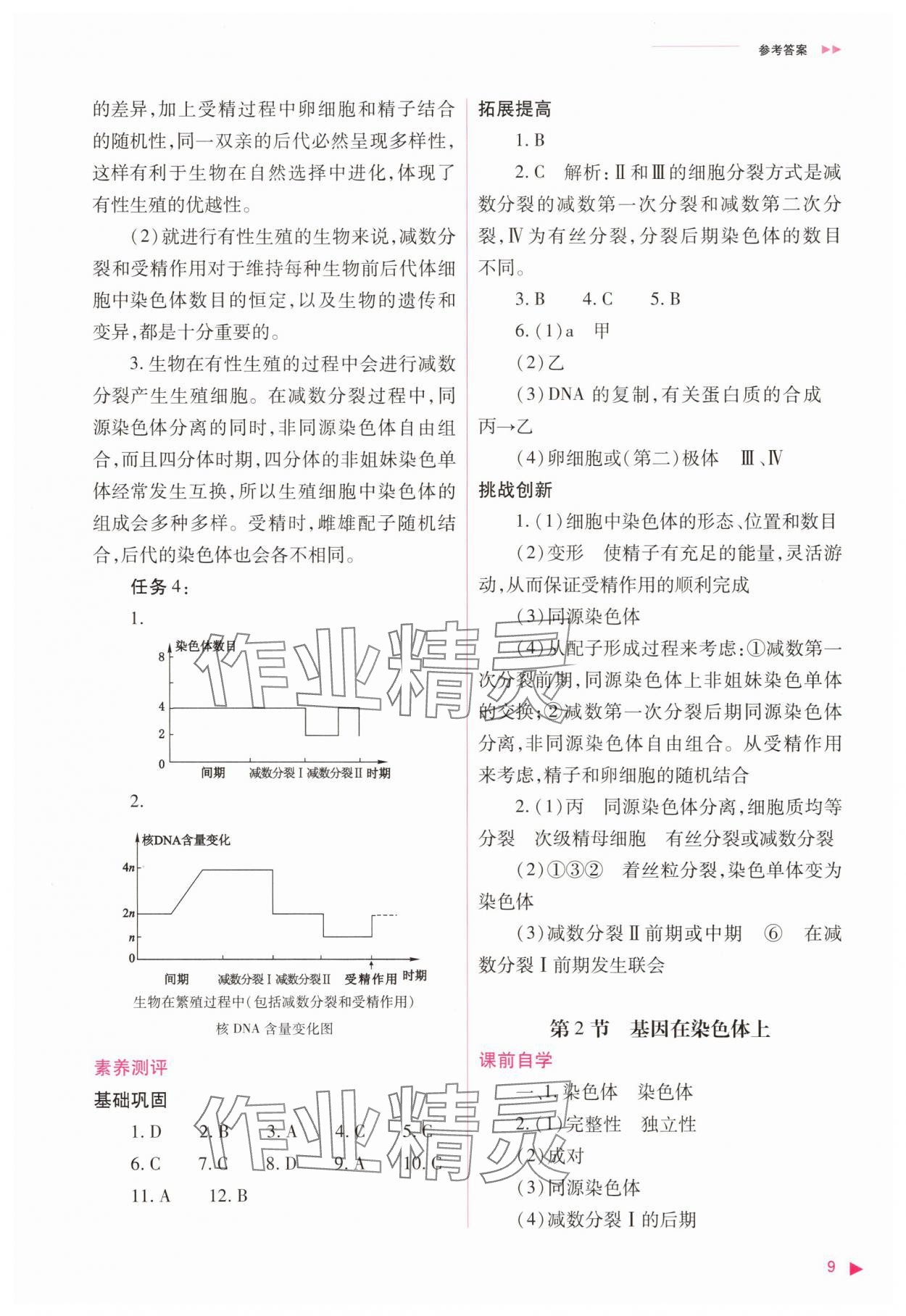 2025年普通高中同步練習(xí)冊(cè)高中生物必修2人教版 參考答案第9頁(yè)
