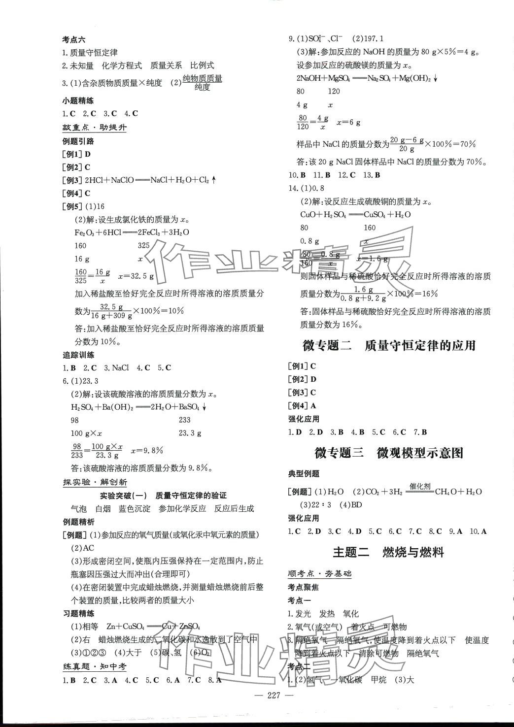 2024年初中總復(fù)習(xí)練案化學(xué)山東專版 第3頁