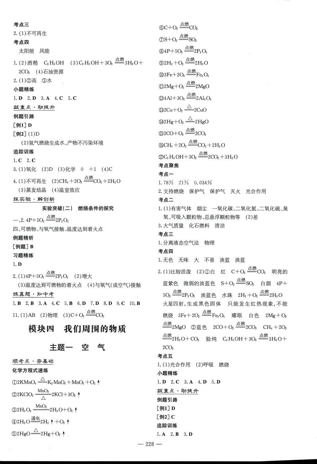 2024年初中總復習練案化學山東專版 第4頁