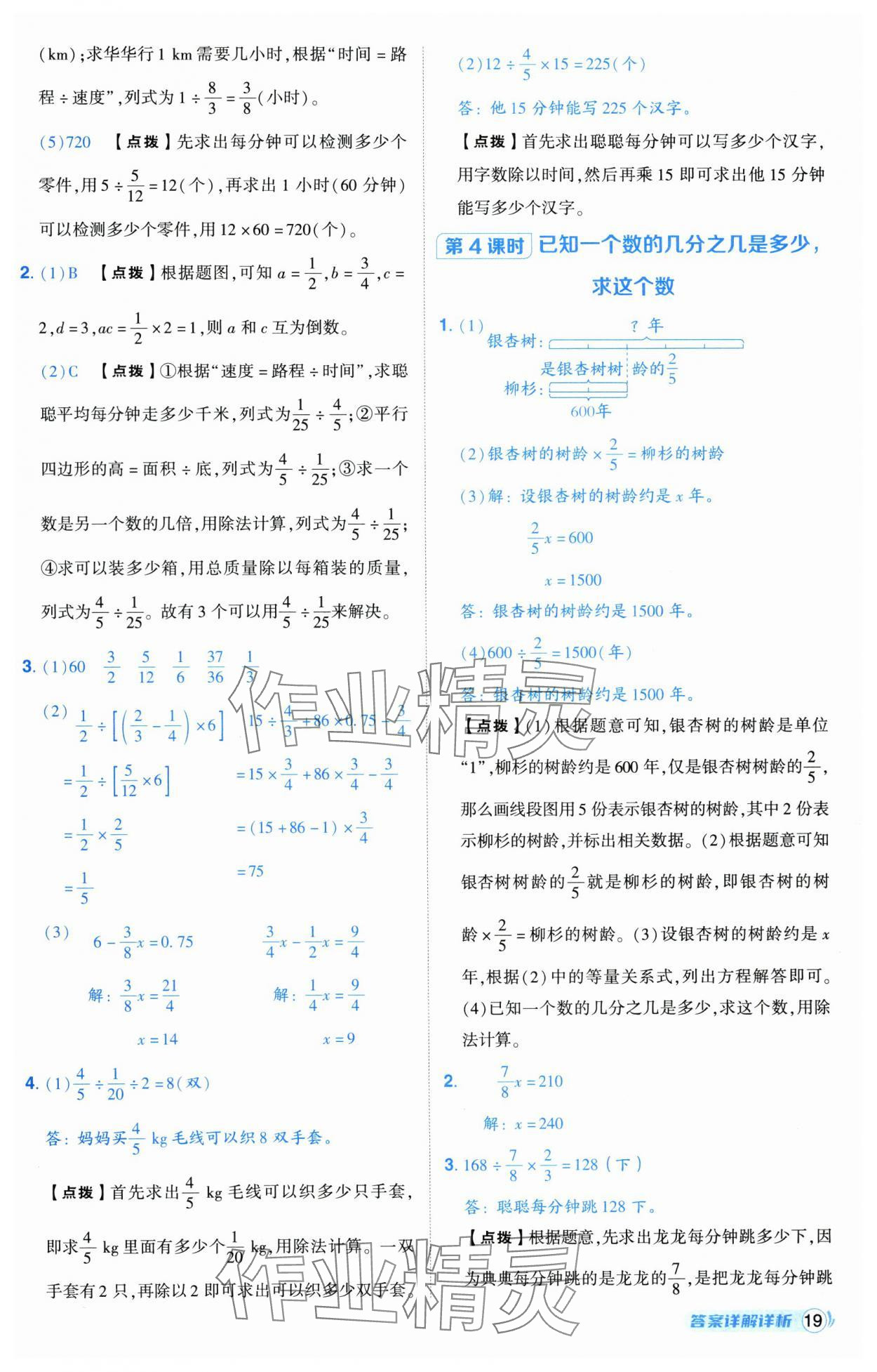 2024年綜合應(yīng)用創(chuàng)新題典中點(diǎn)六年級(jí)數(shù)學(xué)上冊(cè)人教版湖北專版 第19頁(yè)