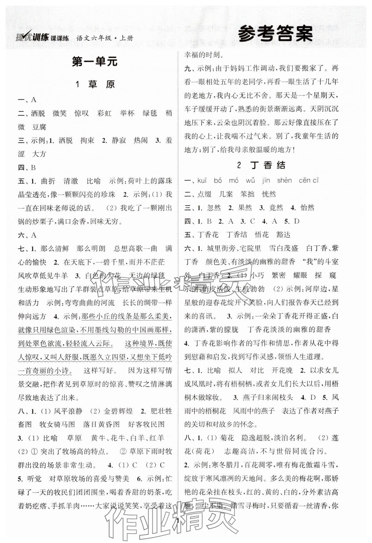 2023年金鑰匙提優(yōu)訓(xùn)練課課練六年級(jí)語(yǔ)文上冊(cè)人教版 第1頁(yè)