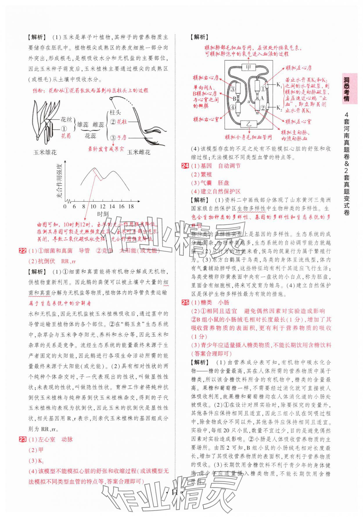 2025年鼎成中考河南中考真題匯編生物中考&nbsp;第11頁