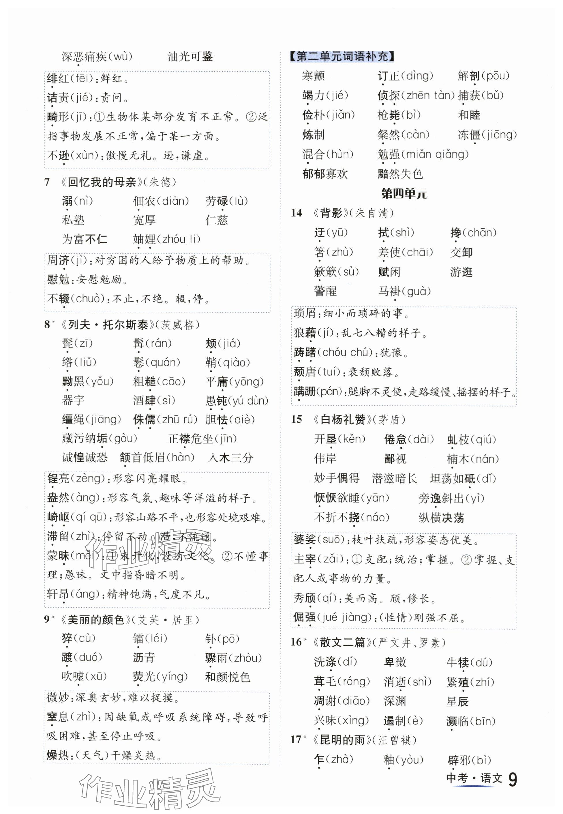 2024年國華圖書中考拐點語文南充專版 參考答案第9頁