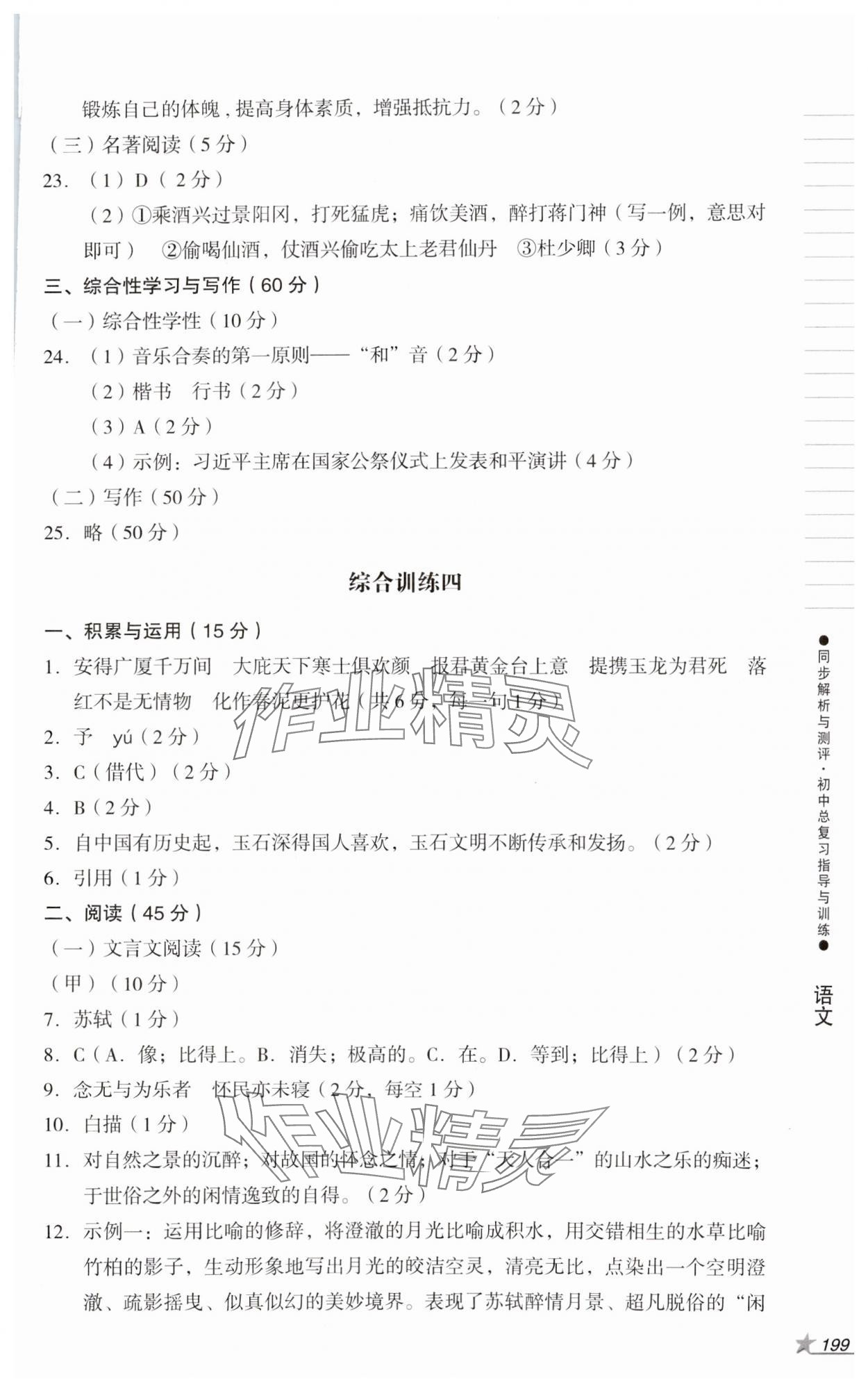 2024年同步解析與測評初中總復(fù)習(xí)指導(dǎo)與訓(xùn)練語文人教版 第7頁