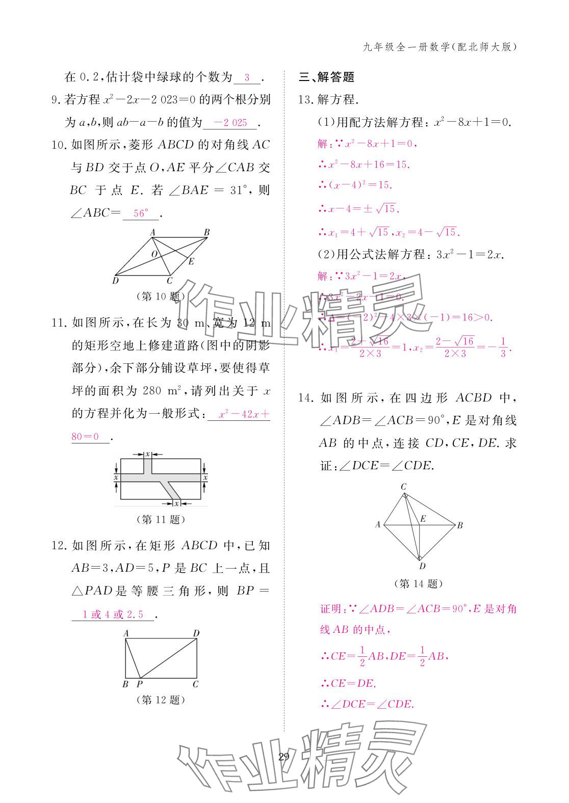2025年作业本江西教育出版社九年级数学全一册北师大版 参考答案第29页