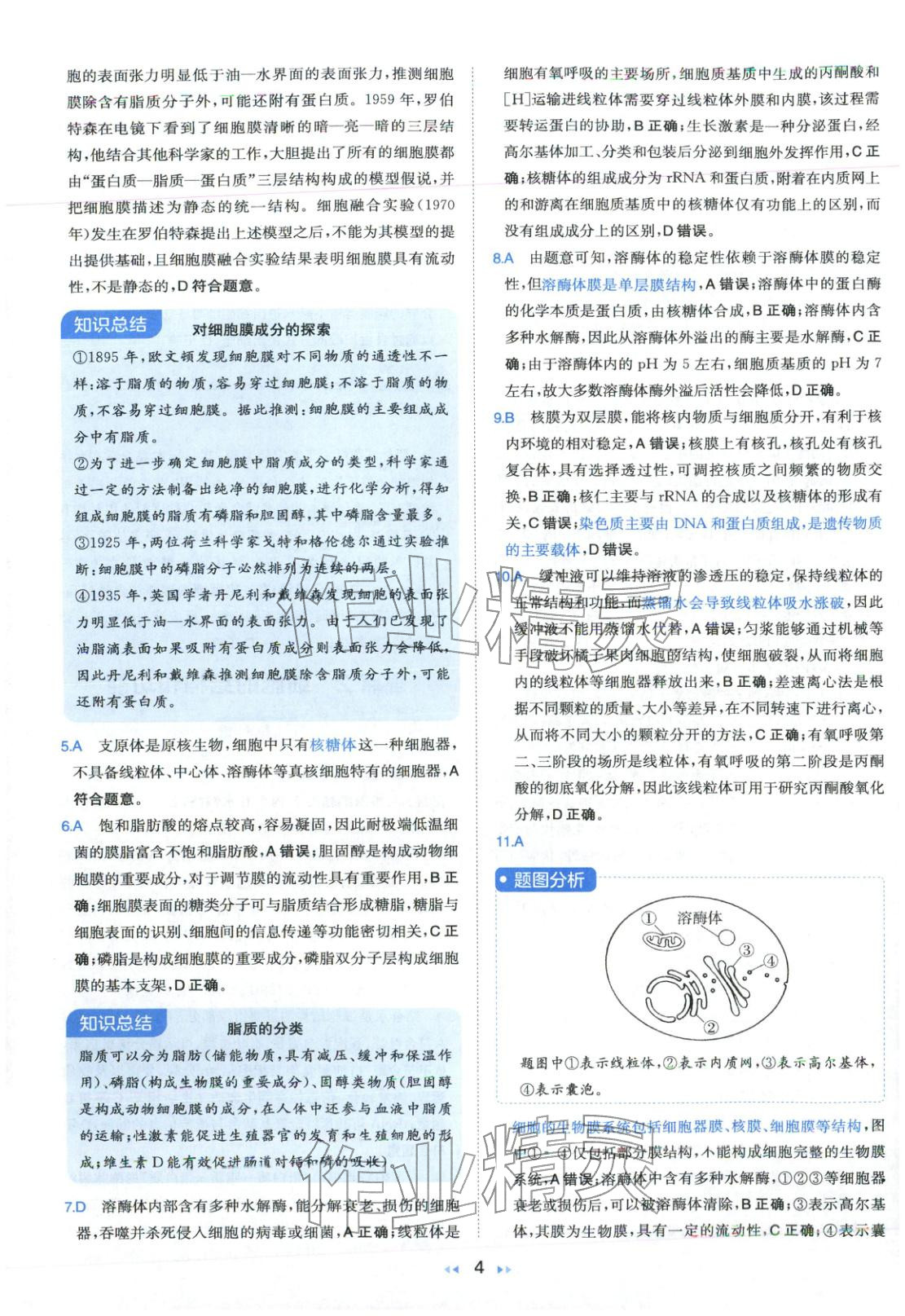 2026年一本真题分类高考生物&nbsp;第4页