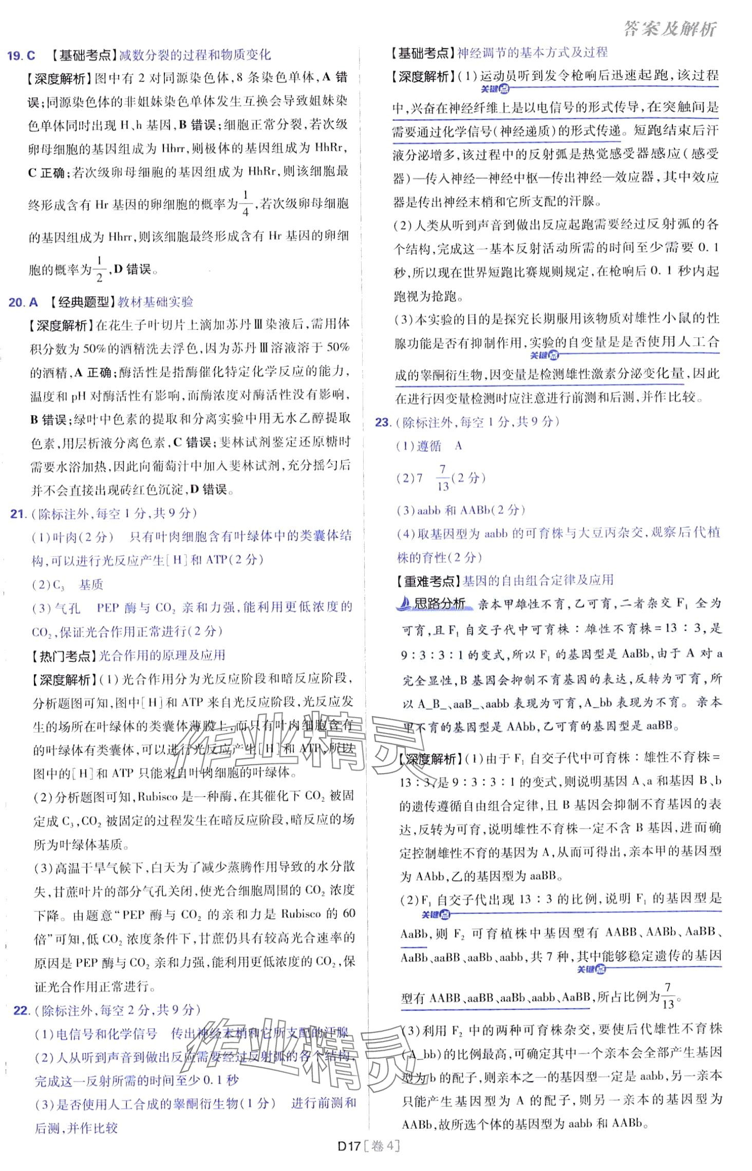2024年高考必刷卷開明出版社高中生物通用版 第17頁
