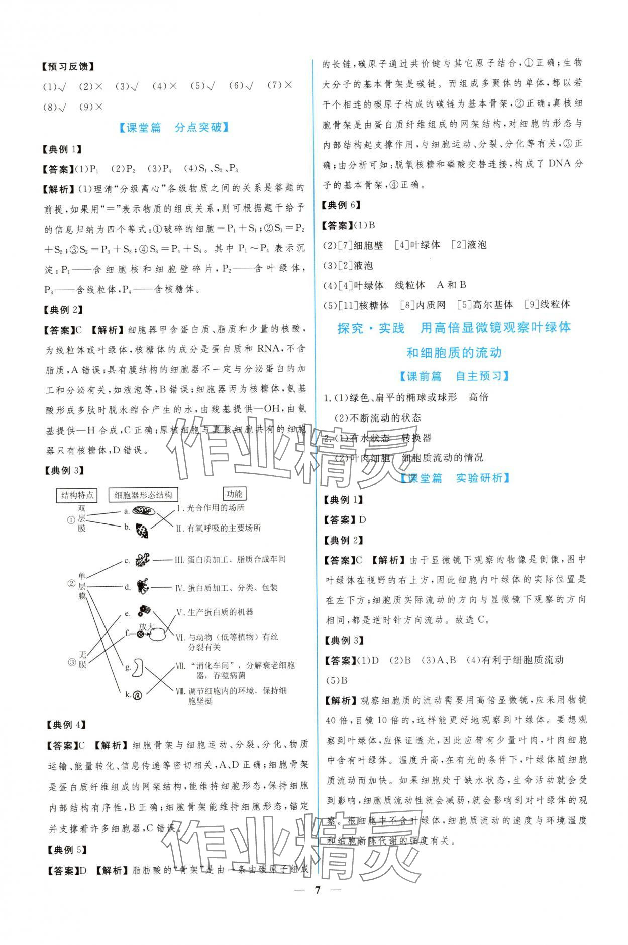 2024年新課程同步練習(xí)冊(cè)生物必修1人教版 參考答案第7頁(yè)