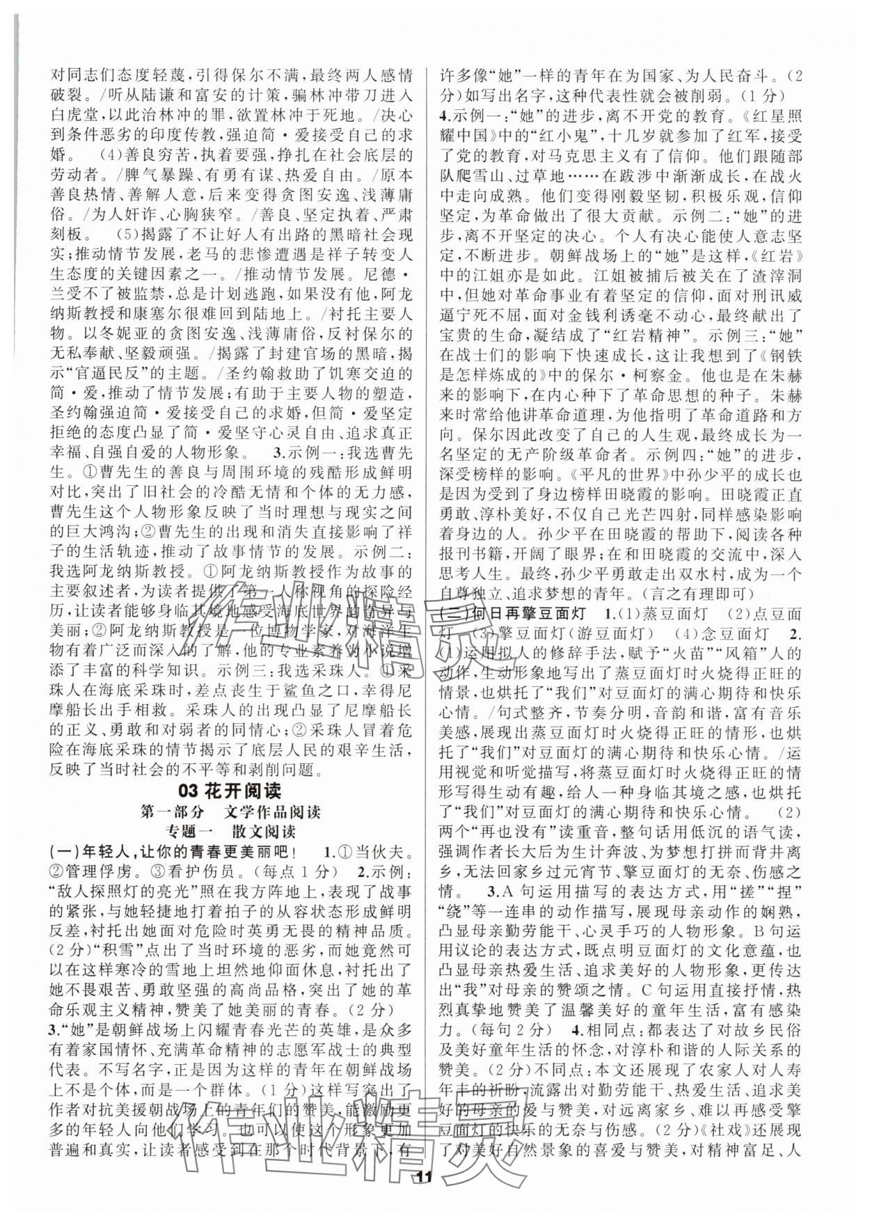 2025年中考高高手語(yǔ)文浙江專版 第11頁(yè)