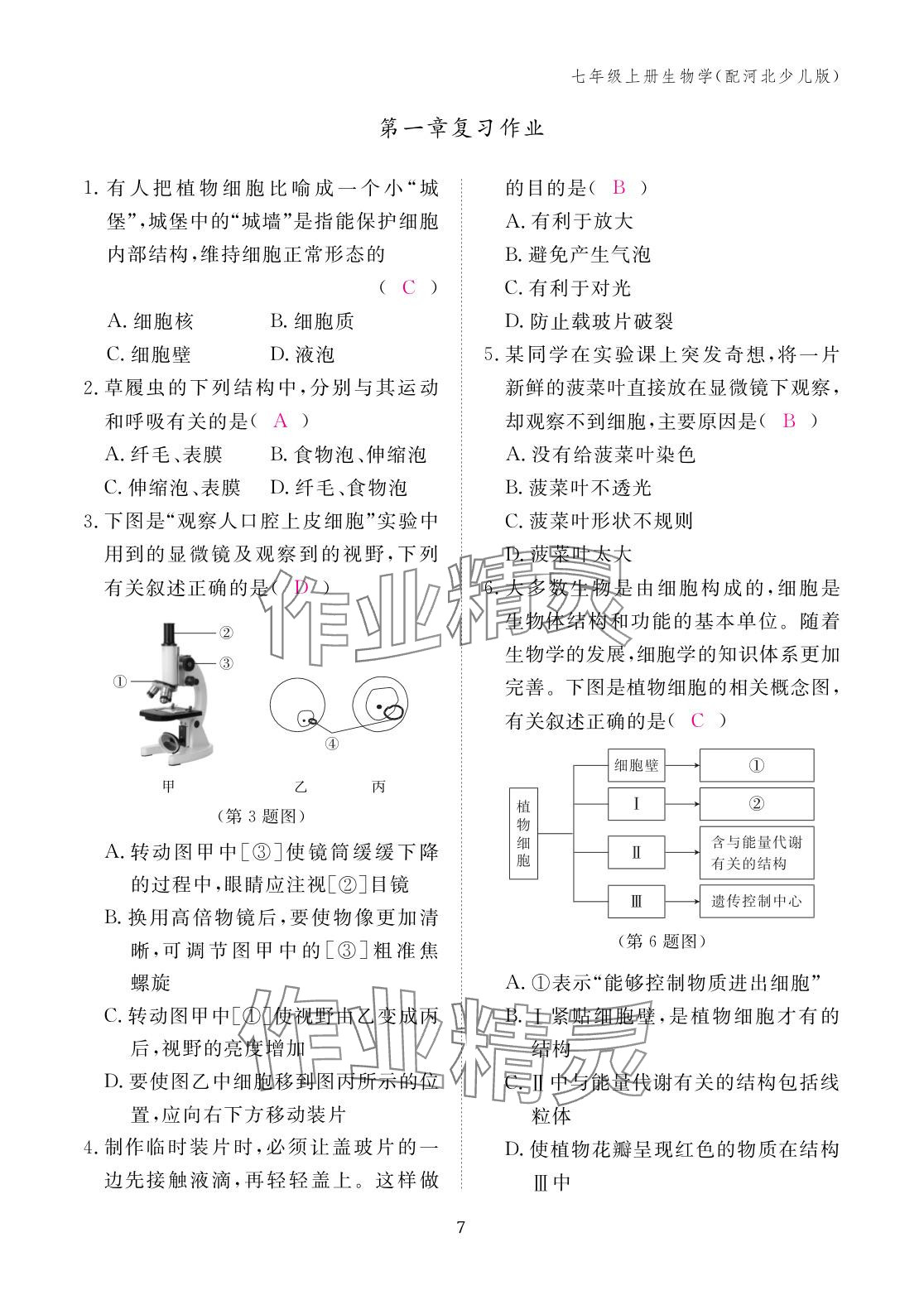 2025年作业本江西教育出版社七年级生物上册冀少版 参考答案第7页