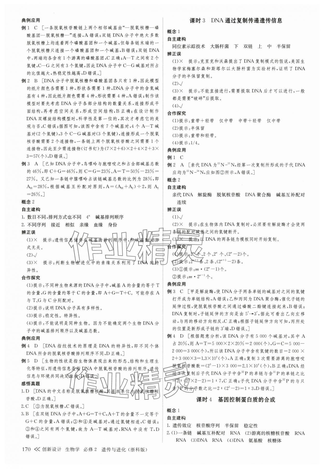 2025年創新設計高中生物必修2浙科版 第13頁
