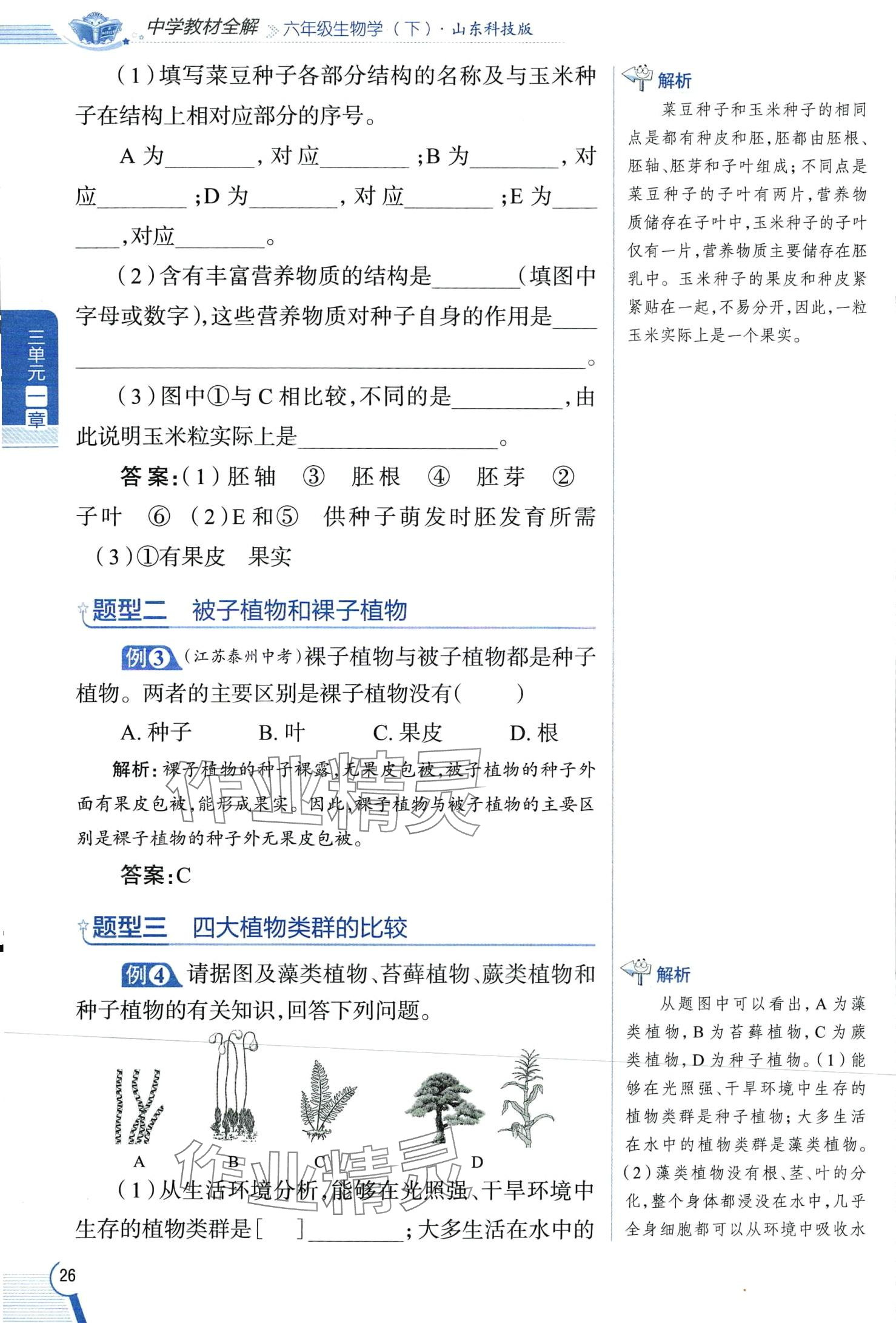 2024年教材課本六年級生物下冊魯科版 第26頁