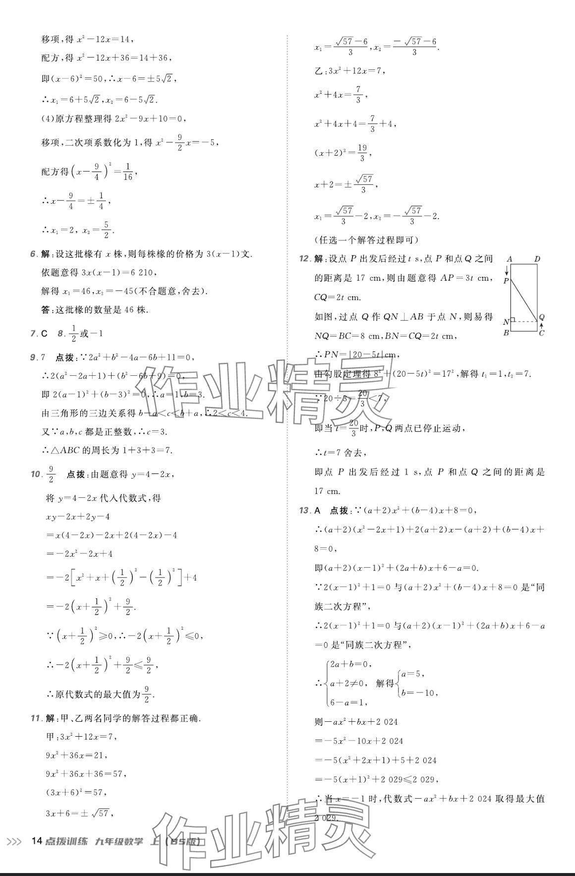 2024年点拨训练九年级数学上册北师大版 参考答案第13页