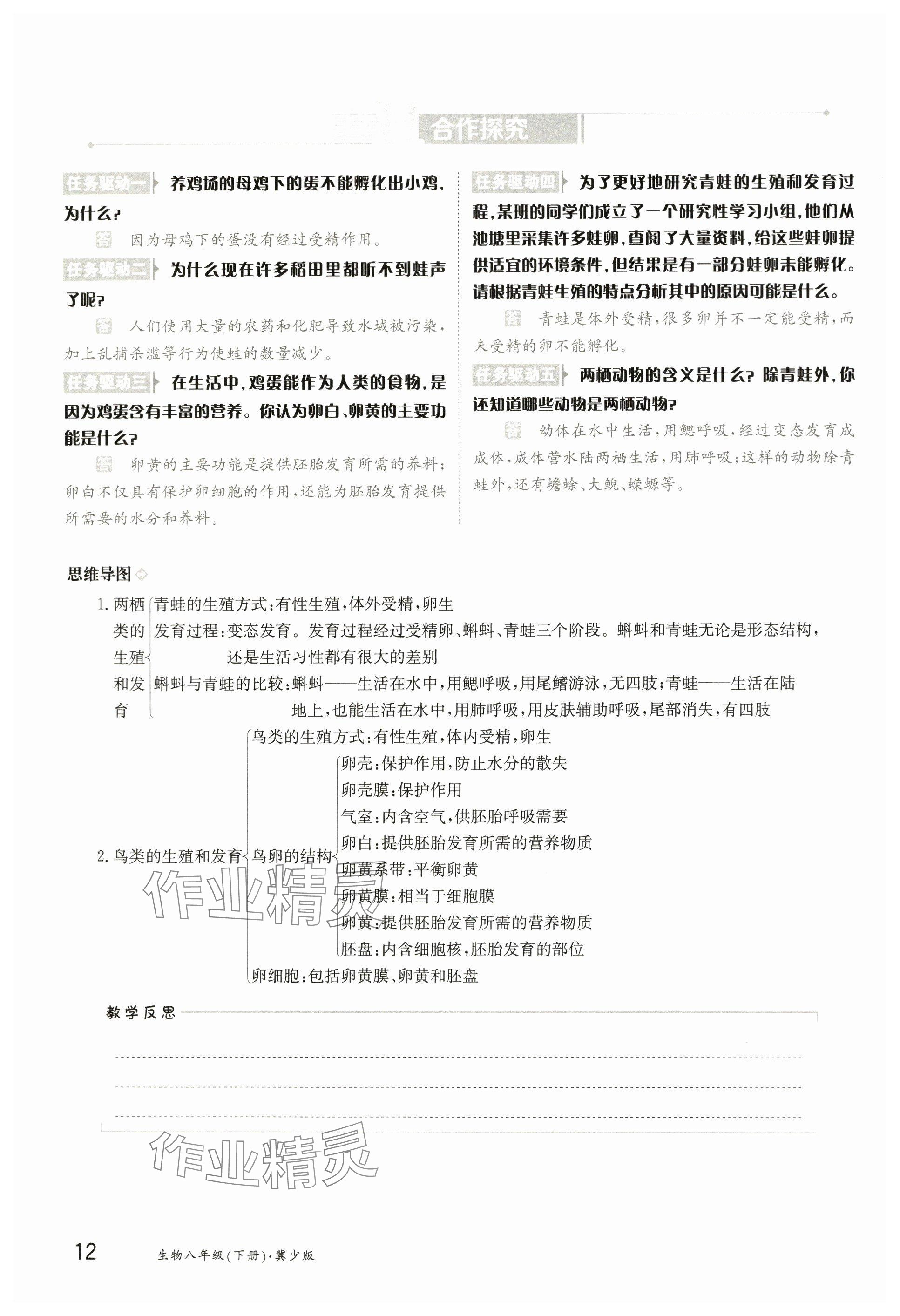 2025年金太陽導學案八年級生物下冊冀少版 參考答案第12頁