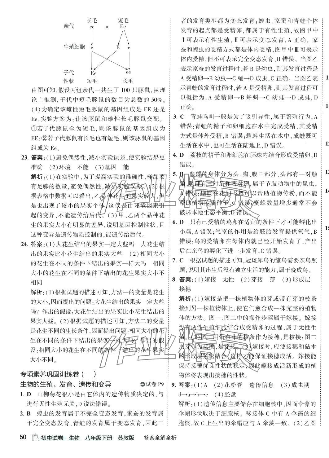 2024年5年中考3年模擬初中試卷八年級(jí)生物下冊蘇教版 第7頁