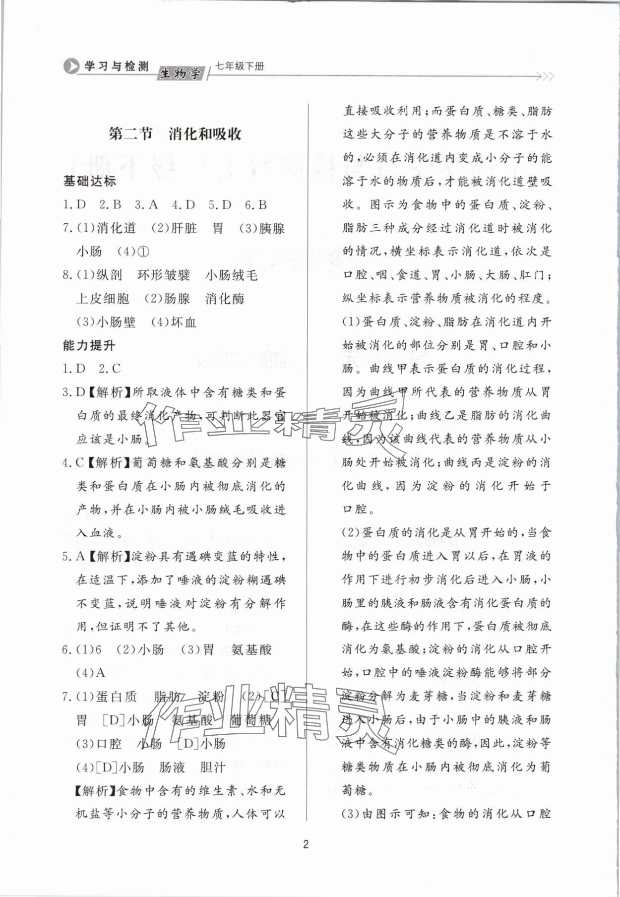 2024年学习与检测七年级生物下册济南版济南出版社 第2页