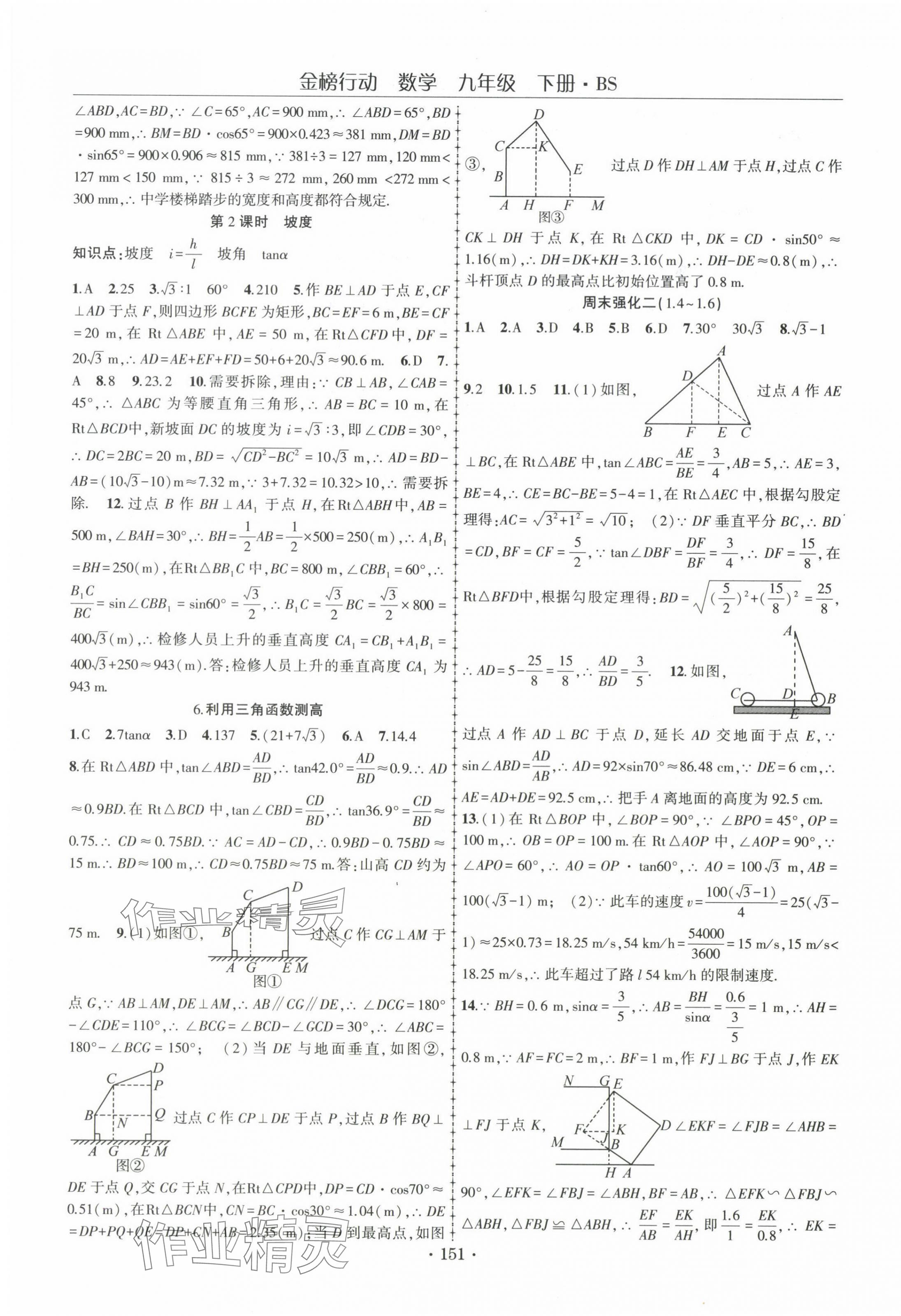 2025年金榜行动九年级数学下册北师大版 第3页