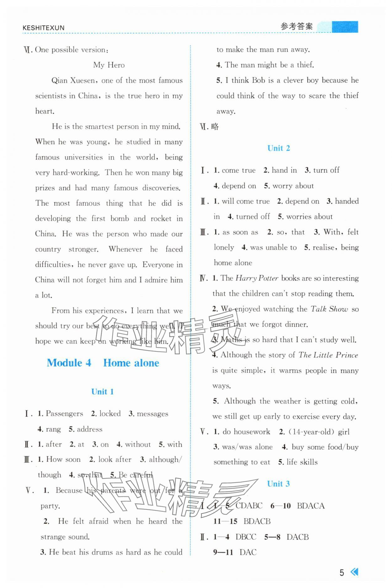2025年课时特训九年级英语上册外研版&nbsp;参考答案第5页