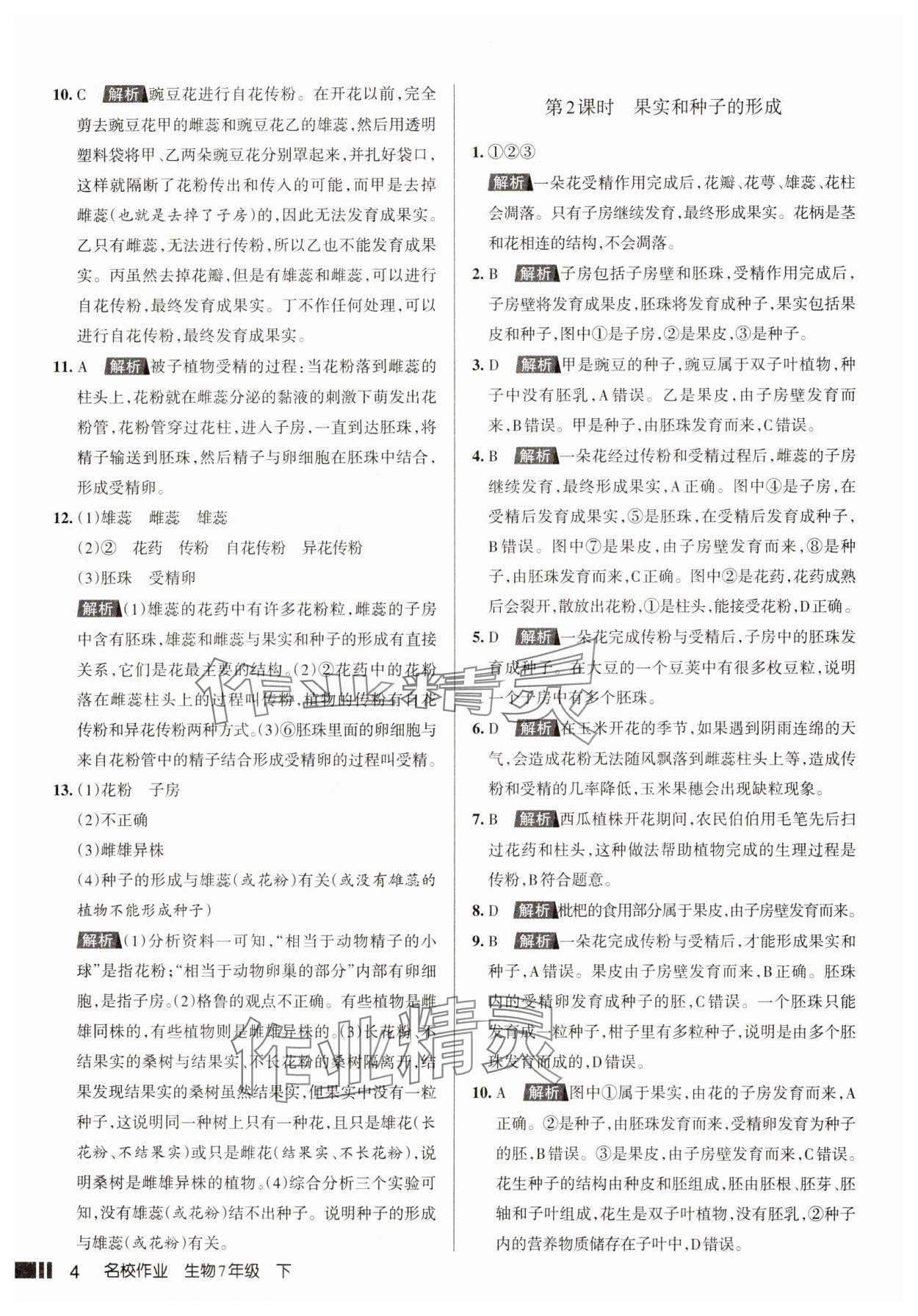 2025年名校作業七年級生物下冊人教版山西專版 參考答案第4頁