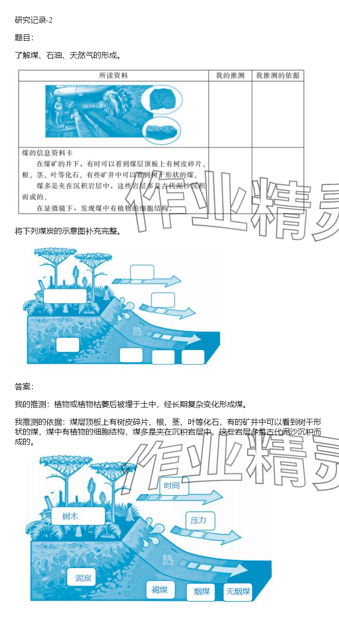 2024年同步實踐評價課程基礎訓練六年級科學下冊湘科版 參考答案第95頁