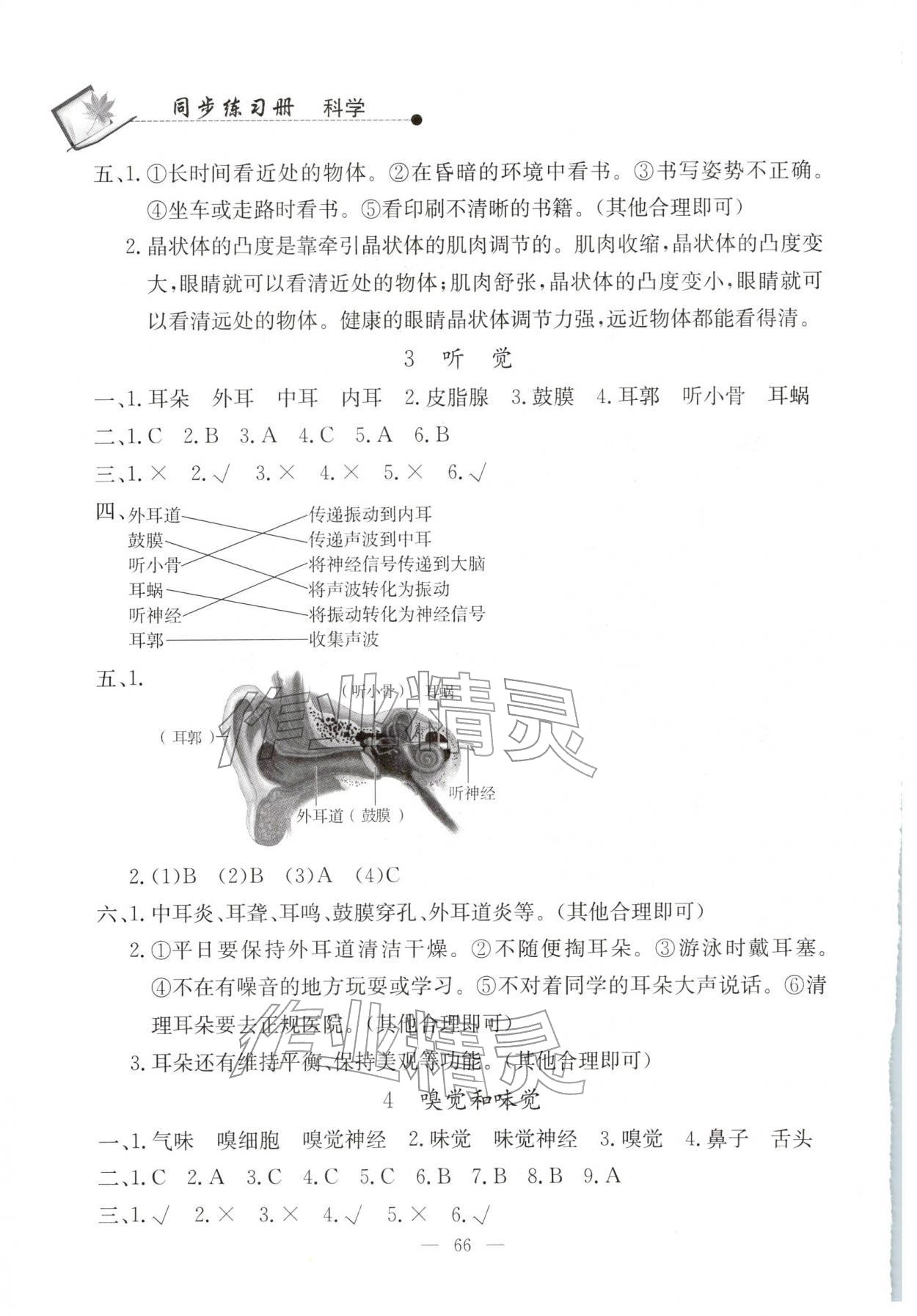 2026年同步练习册山东科学技术出版社六年级科学下册青岛版&nbsp;第2页