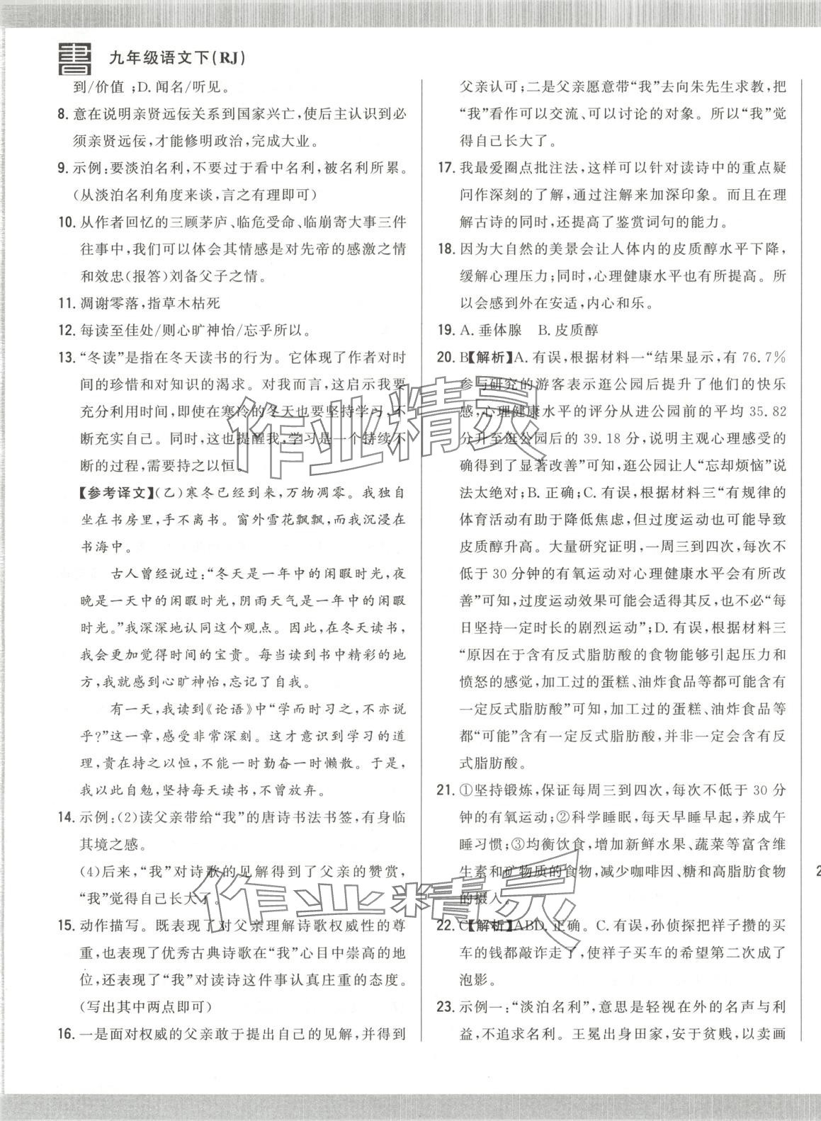 2025年書(shū)立方跟蹤測(cè)試卷九年級(jí)語(yǔ)文下冊(cè)人教版 第5頁(yè)