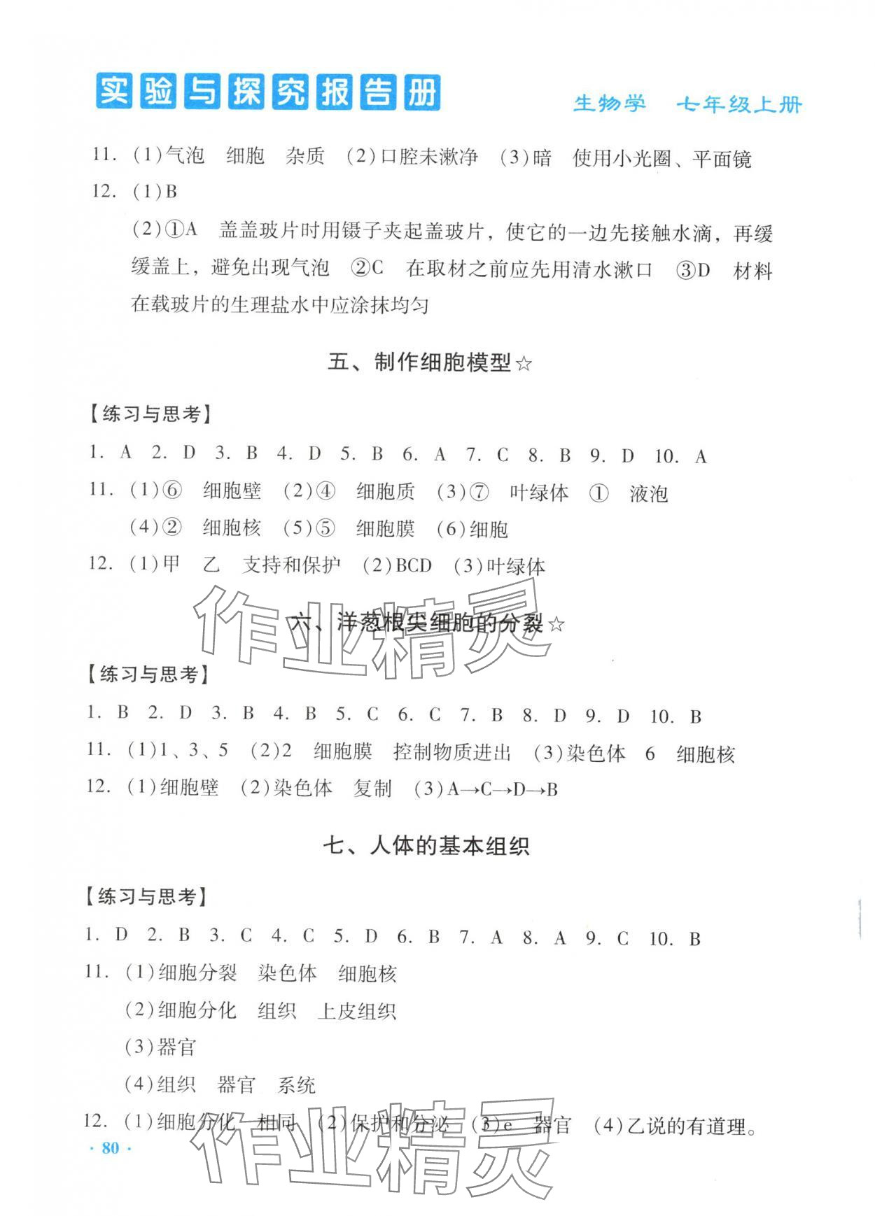 2025年实验与探究报告册七年级生物上册人教版 第2页