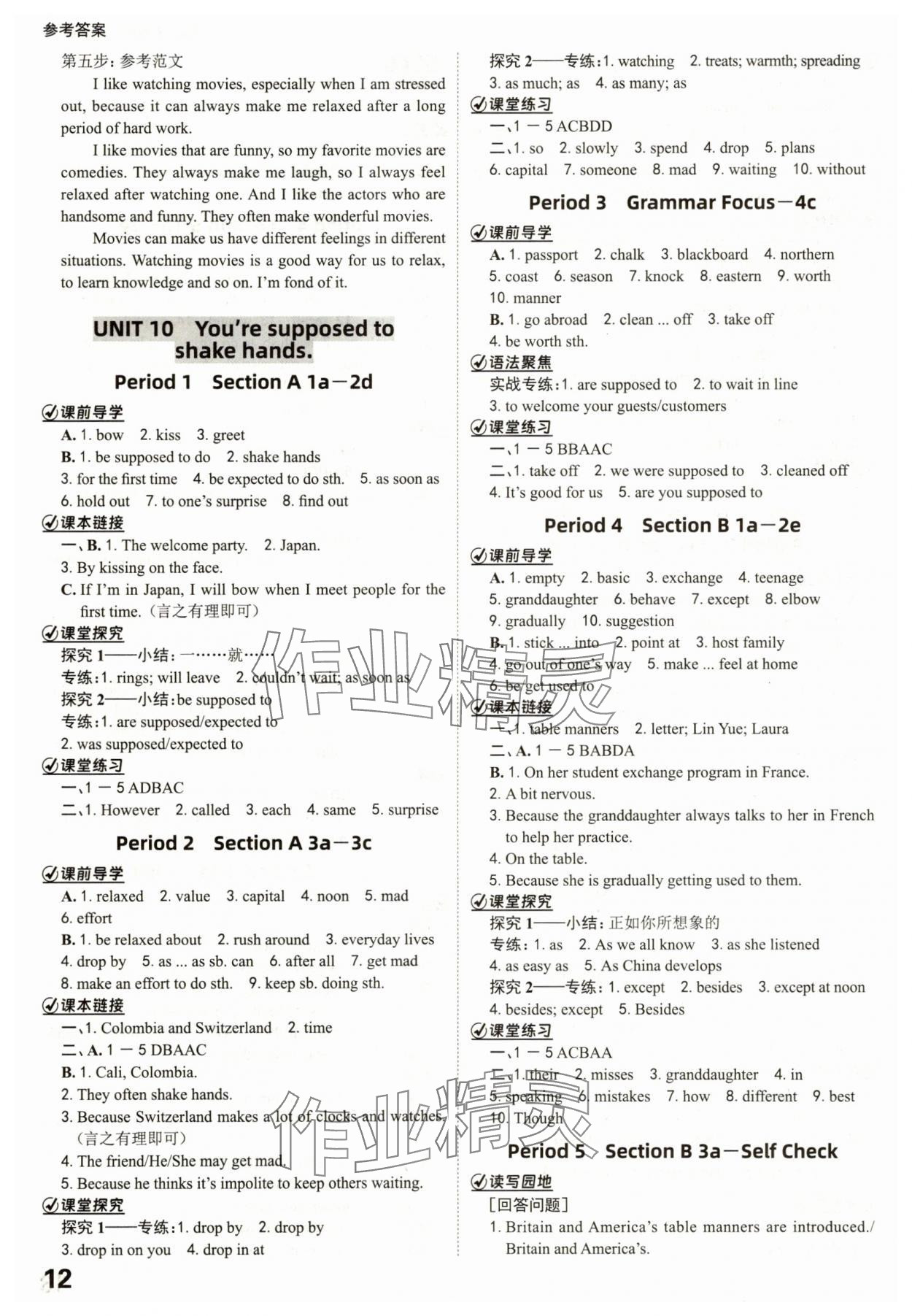 2025年全程突破九年級英語全一冊人教版 參考答案第12頁