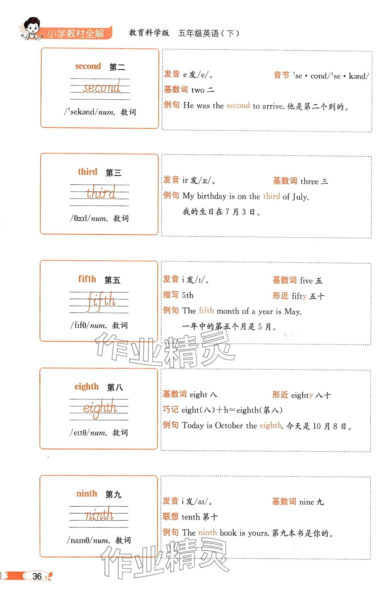 2024年教材課本五年級英語下冊教科版 第36頁