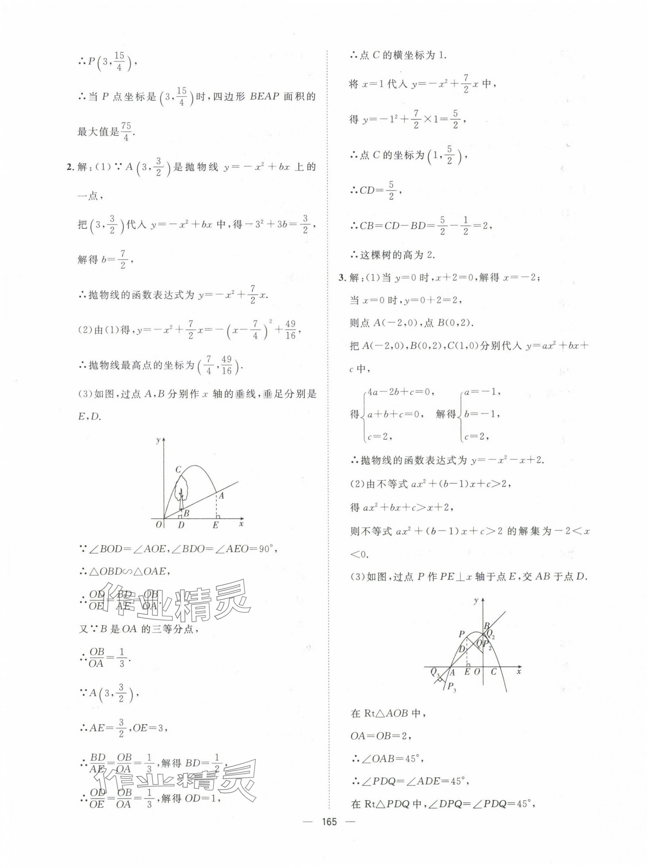 2025年命题研究数学中考青海专版 第11页