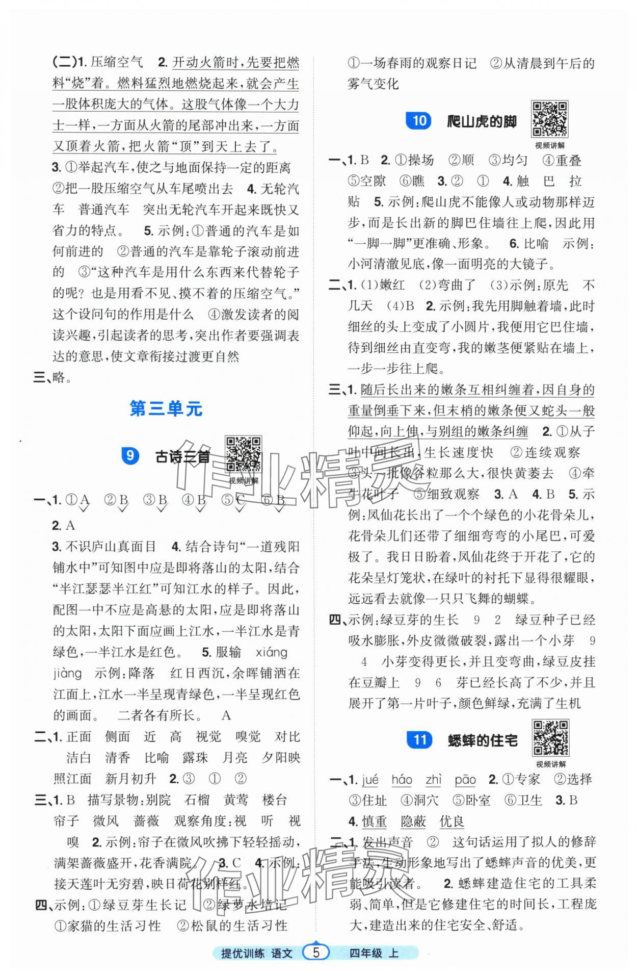 2025年阳光同学课时提优训练四年级语文上册人教版 第5页