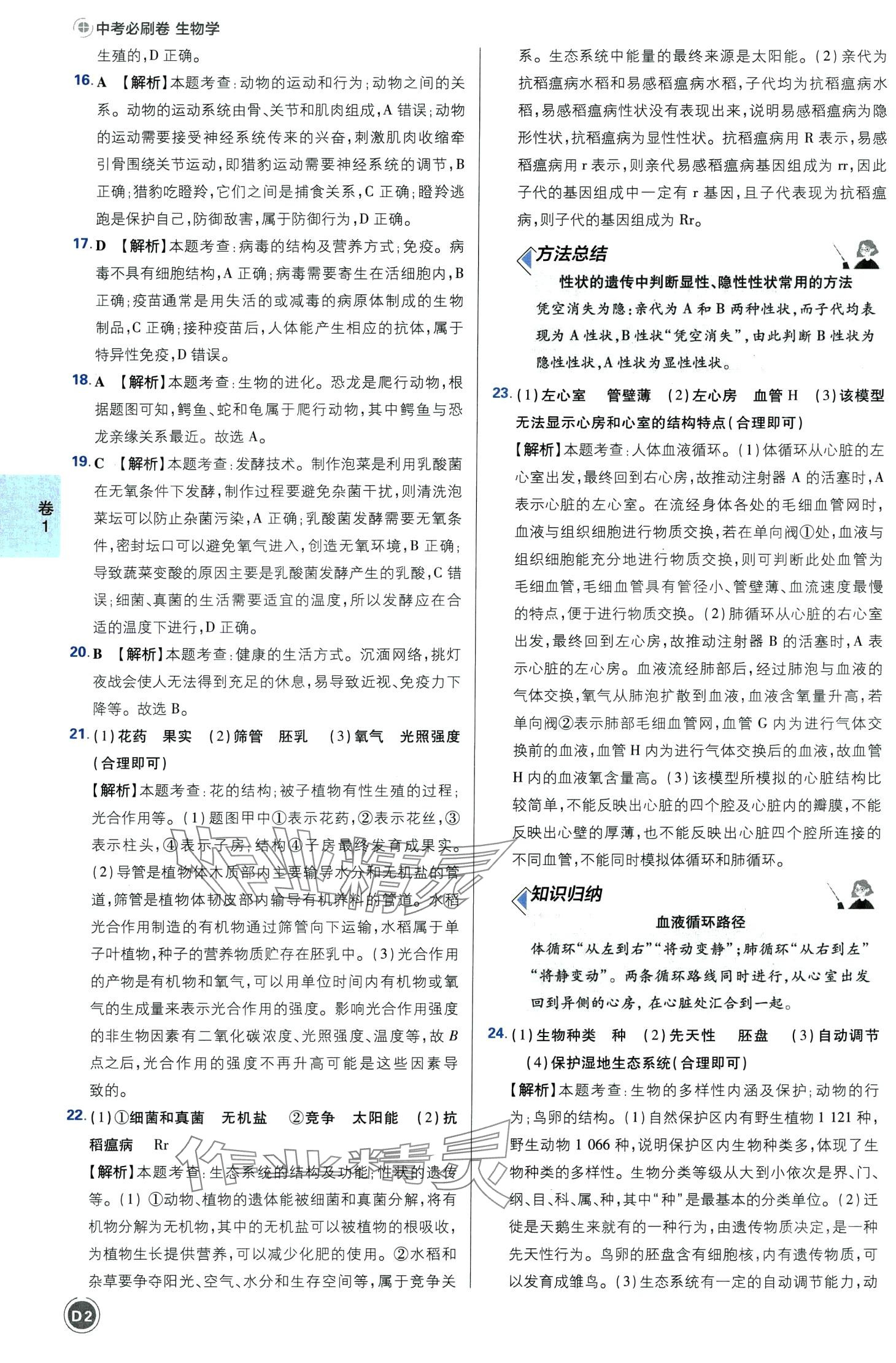 2024年中考必刷卷沈阳出版社生物河南专版 第2页