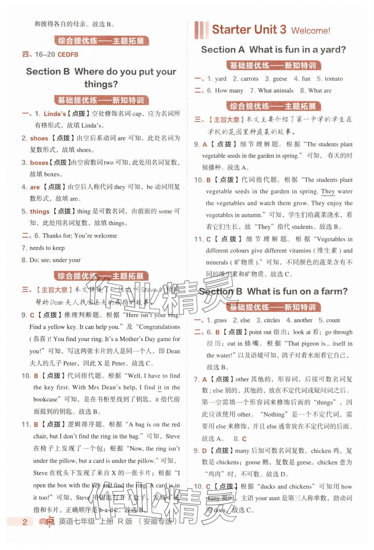2025年综合应用创新题典中点七年级英语上册人教版安徽专版 参考答案第2页