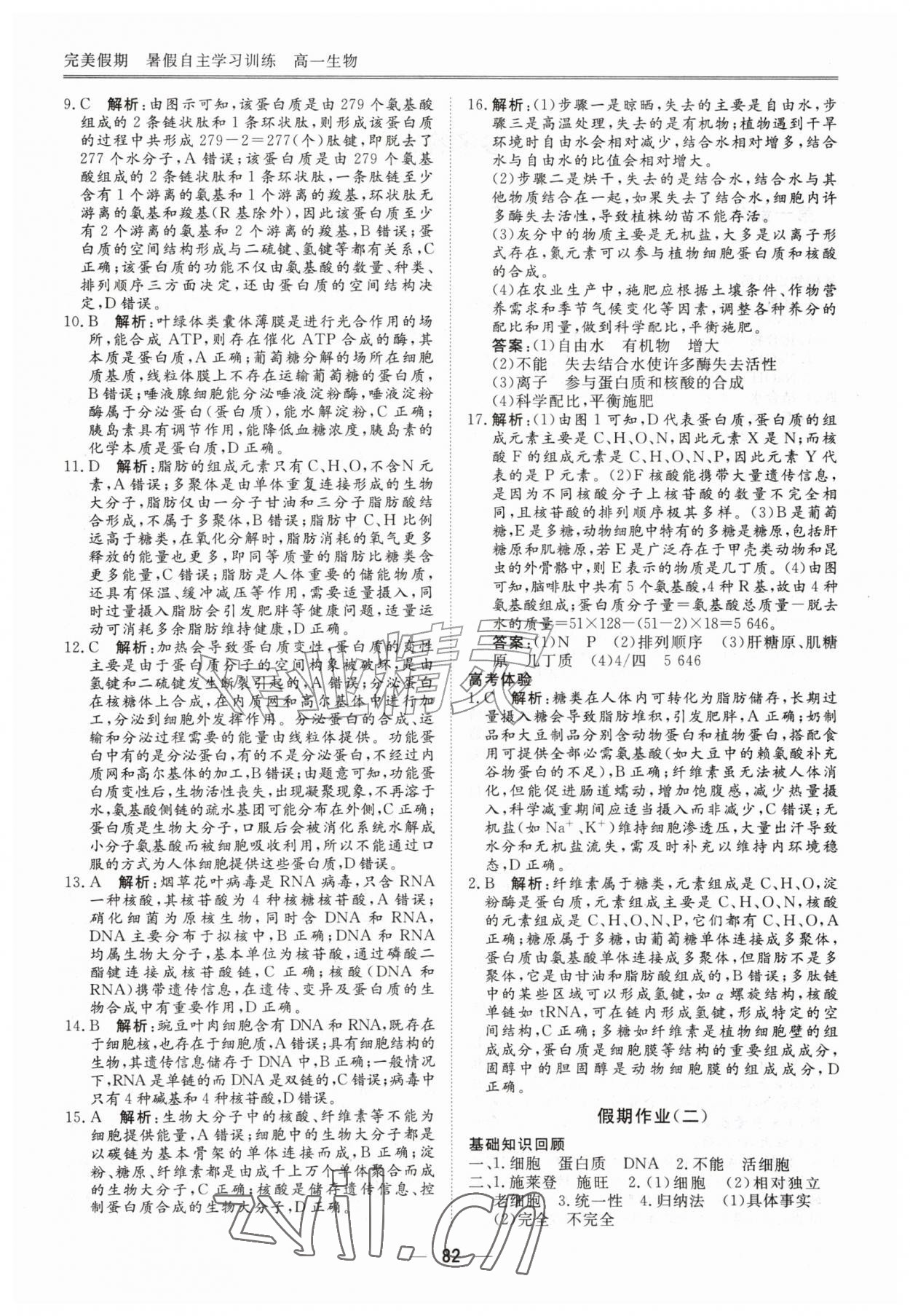 2026年完美假期暑假自主学习训练高一生物&nbsp;第2页