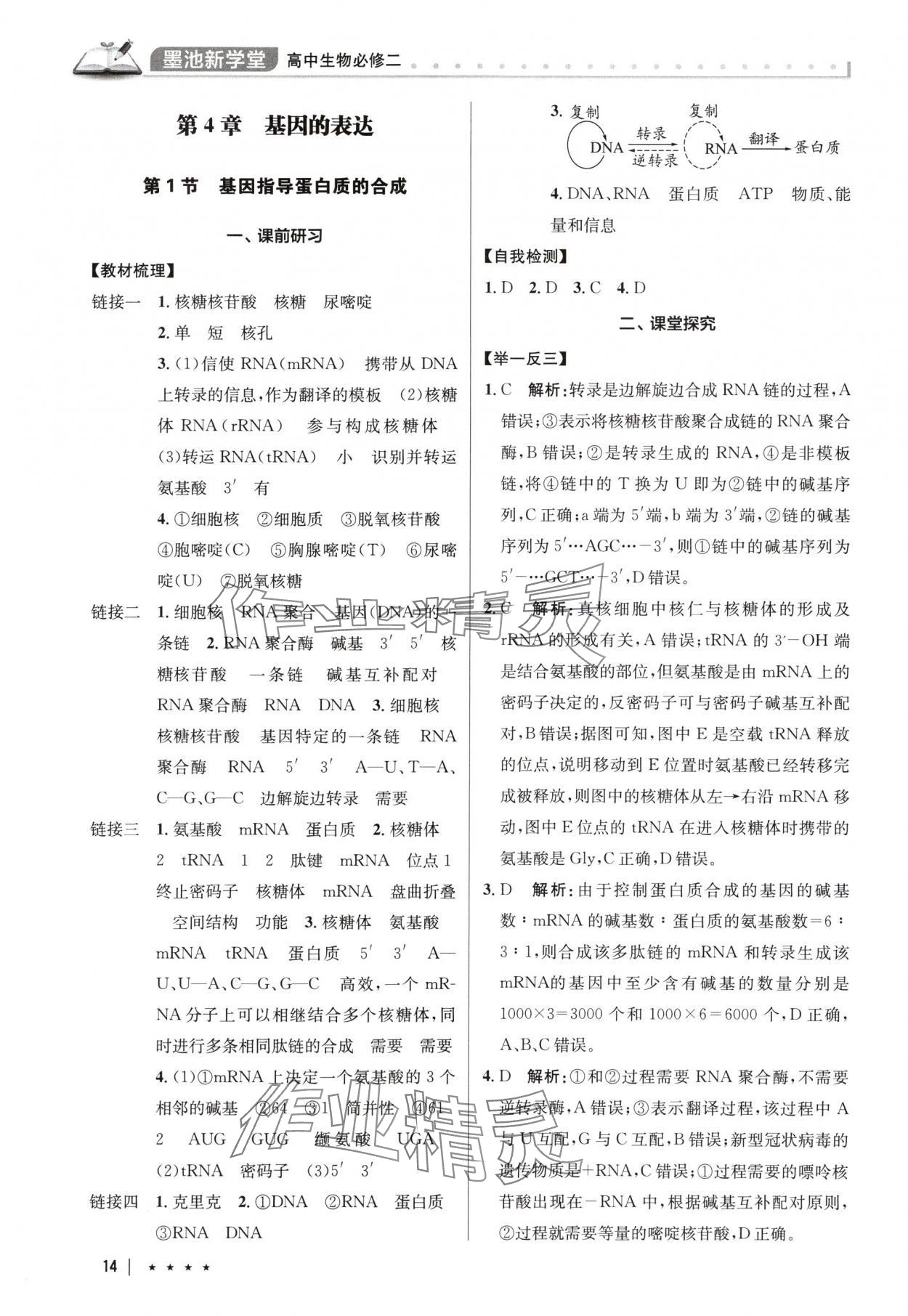 2025年墨池新學堂高中生物必修2人教版 參考答案第14頁