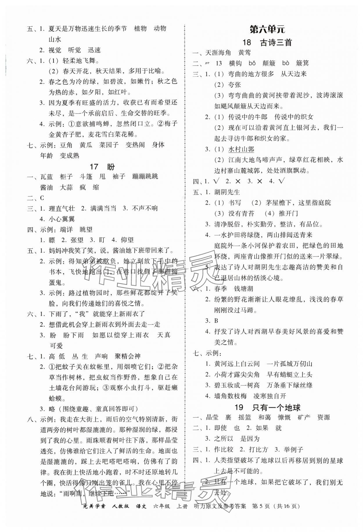 2024年完美学案六年级语文上册人教版 参考答案第5页