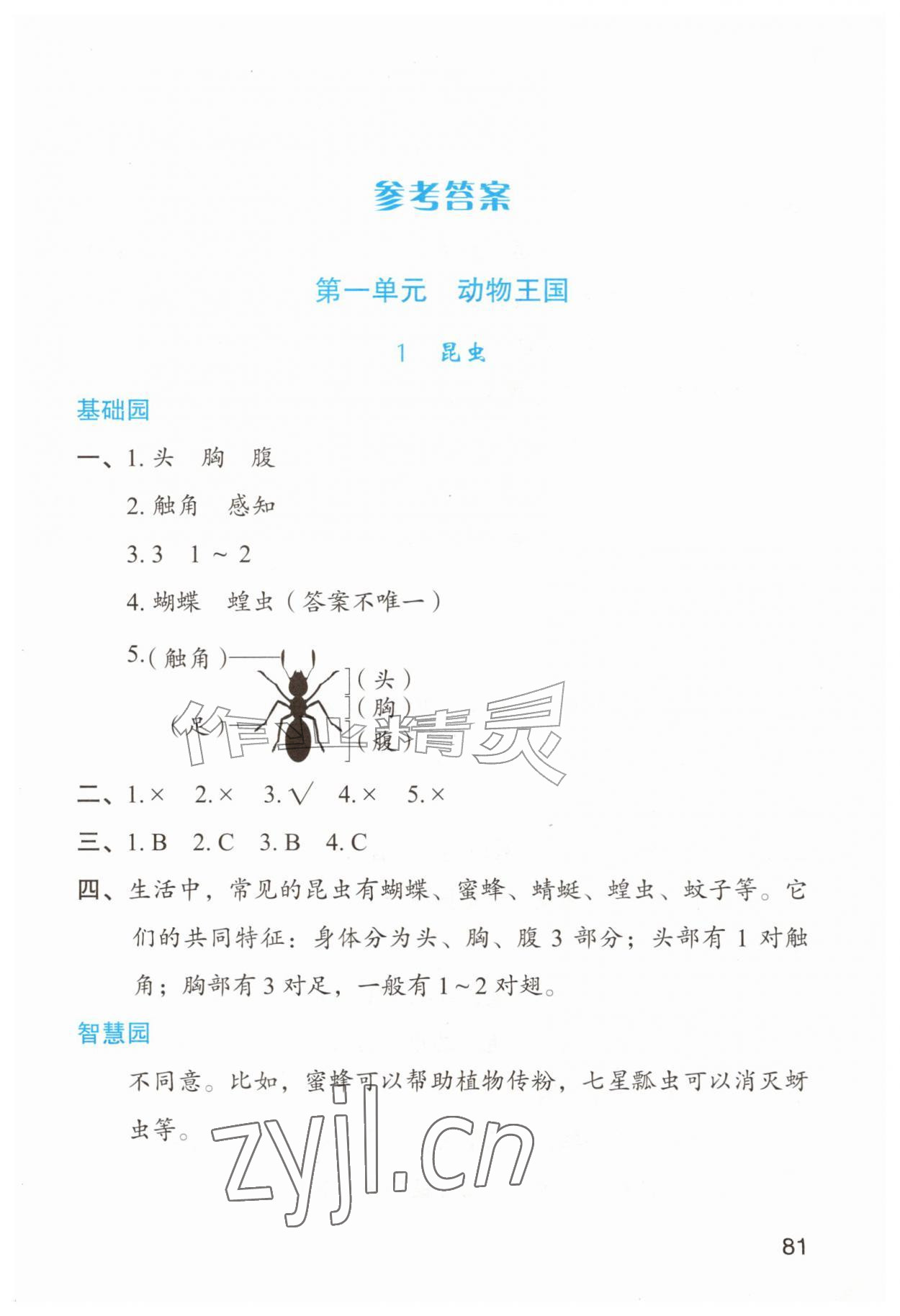 2026年三维智慧学习三年级科学上册青岛版&nbsp;第1页