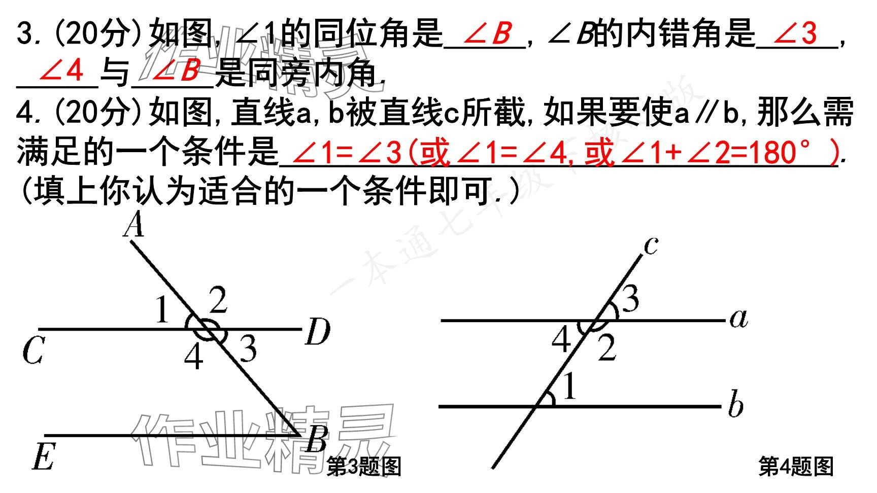 2025年一本通武漢出版社七年級數(shù)學(xué)下冊北師大版核心版 參考答案第62頁