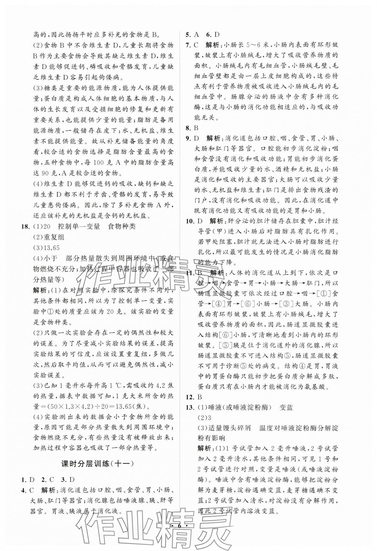 2025年同步練習冊分層卷七年級生物下冊人教版 參考答案第6頁