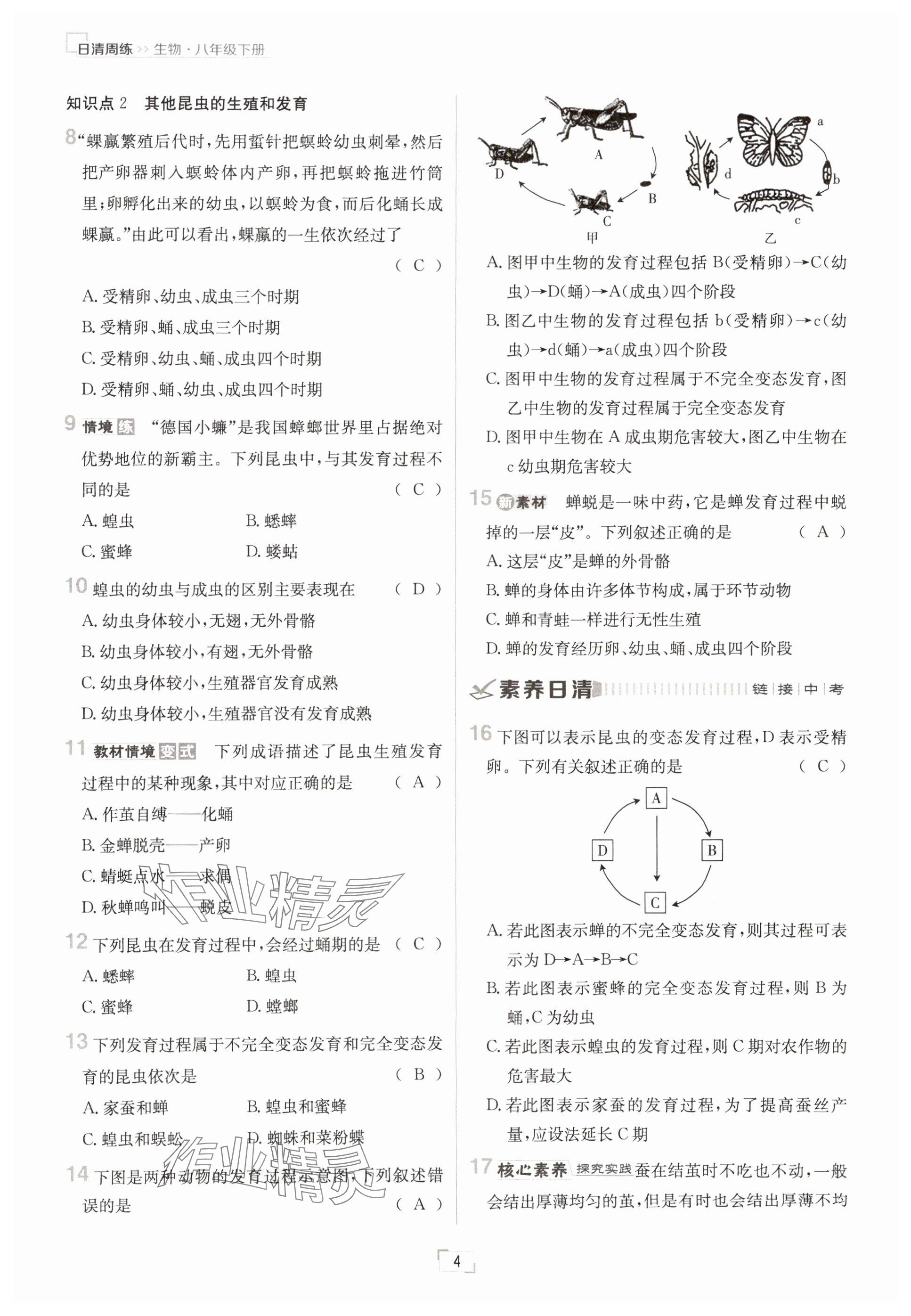 2025年日清周练八年级生物下册人教版&nbsp;参考答案第4页