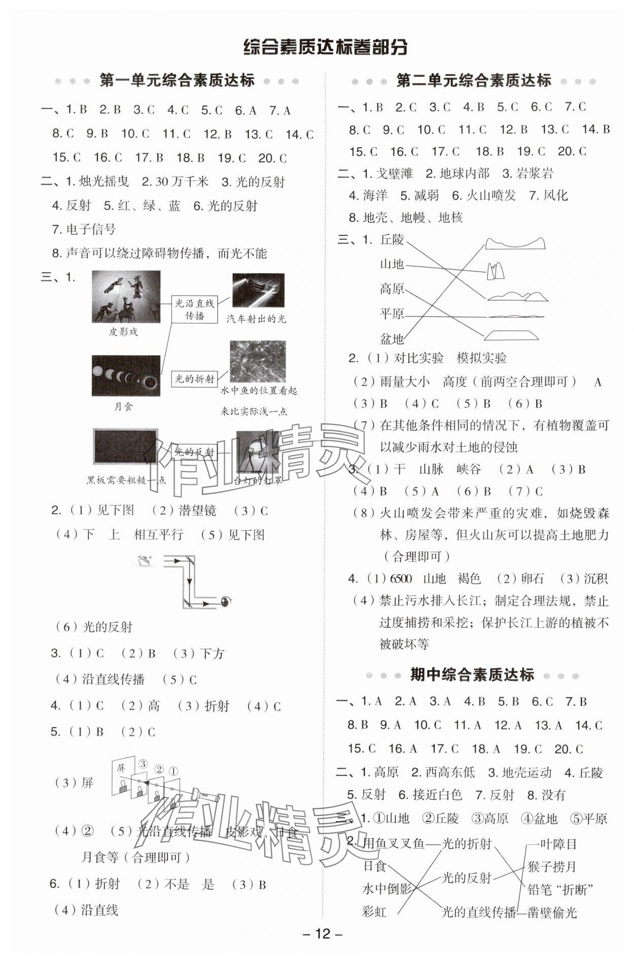 2024年綜合應用創(chuàng)新題典中點五年級科學上冊教科版 參考答案第11頁