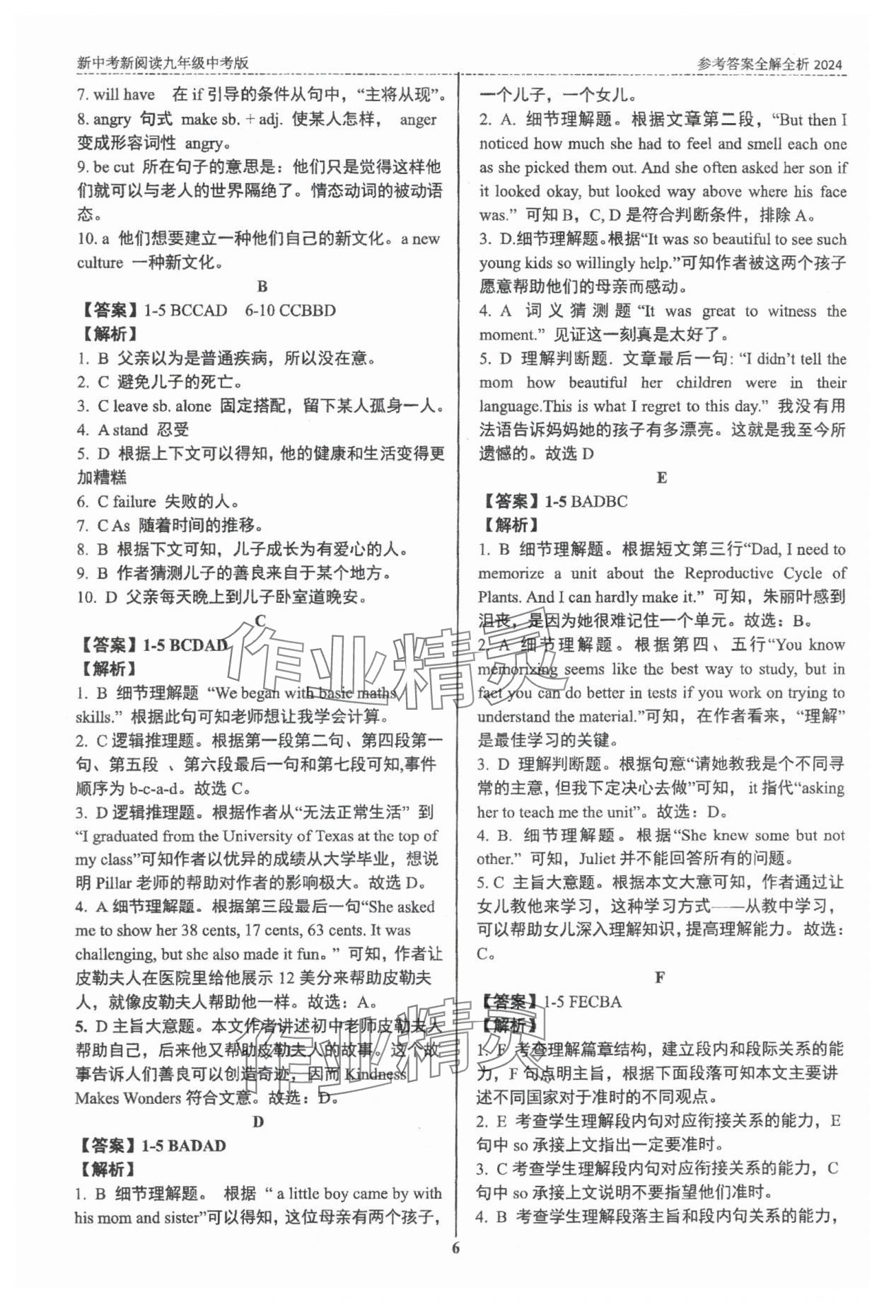 2024年新中考新阅读深圳专版&nbsp;第6页