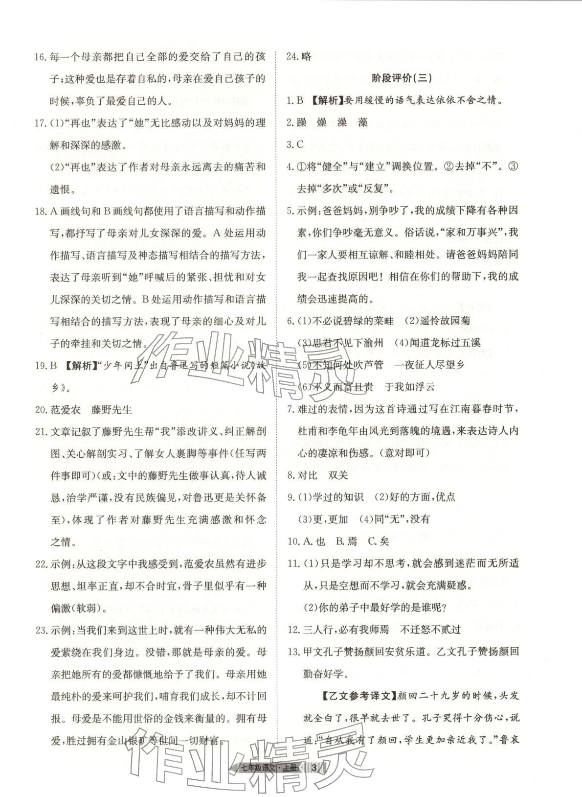 2025年全优标准卷学习搭档七年级语文上册人教版 第3页