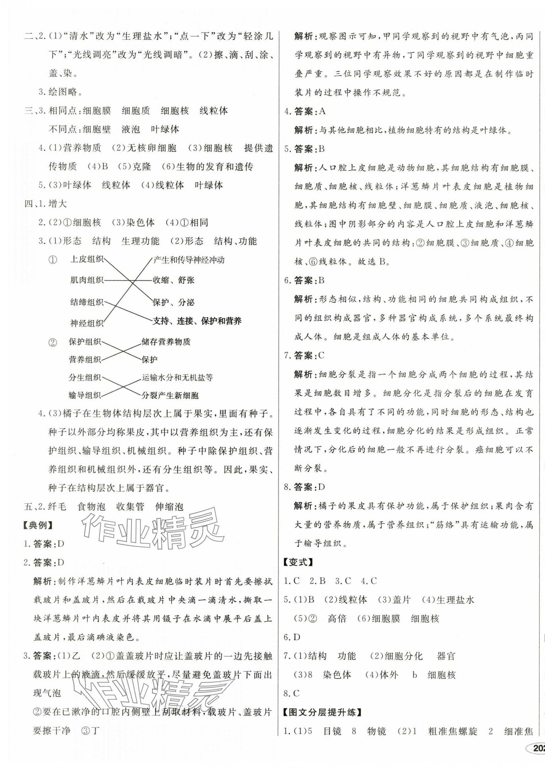 2025年中考檔案生物A版青島專版 第3頁