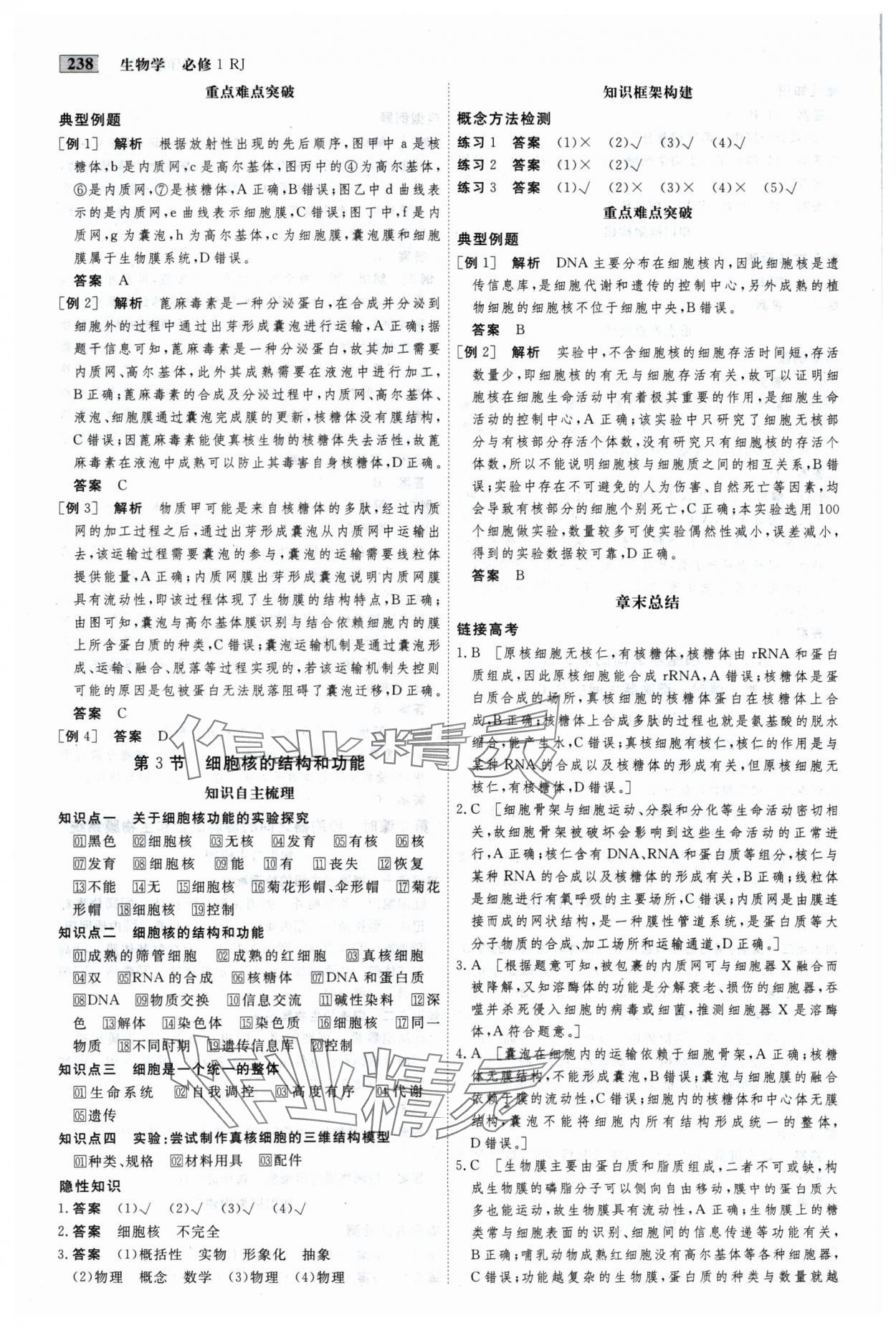 2024年金版教程高中新课程创新导学案高中生物必修1人教版 参考答案第6页