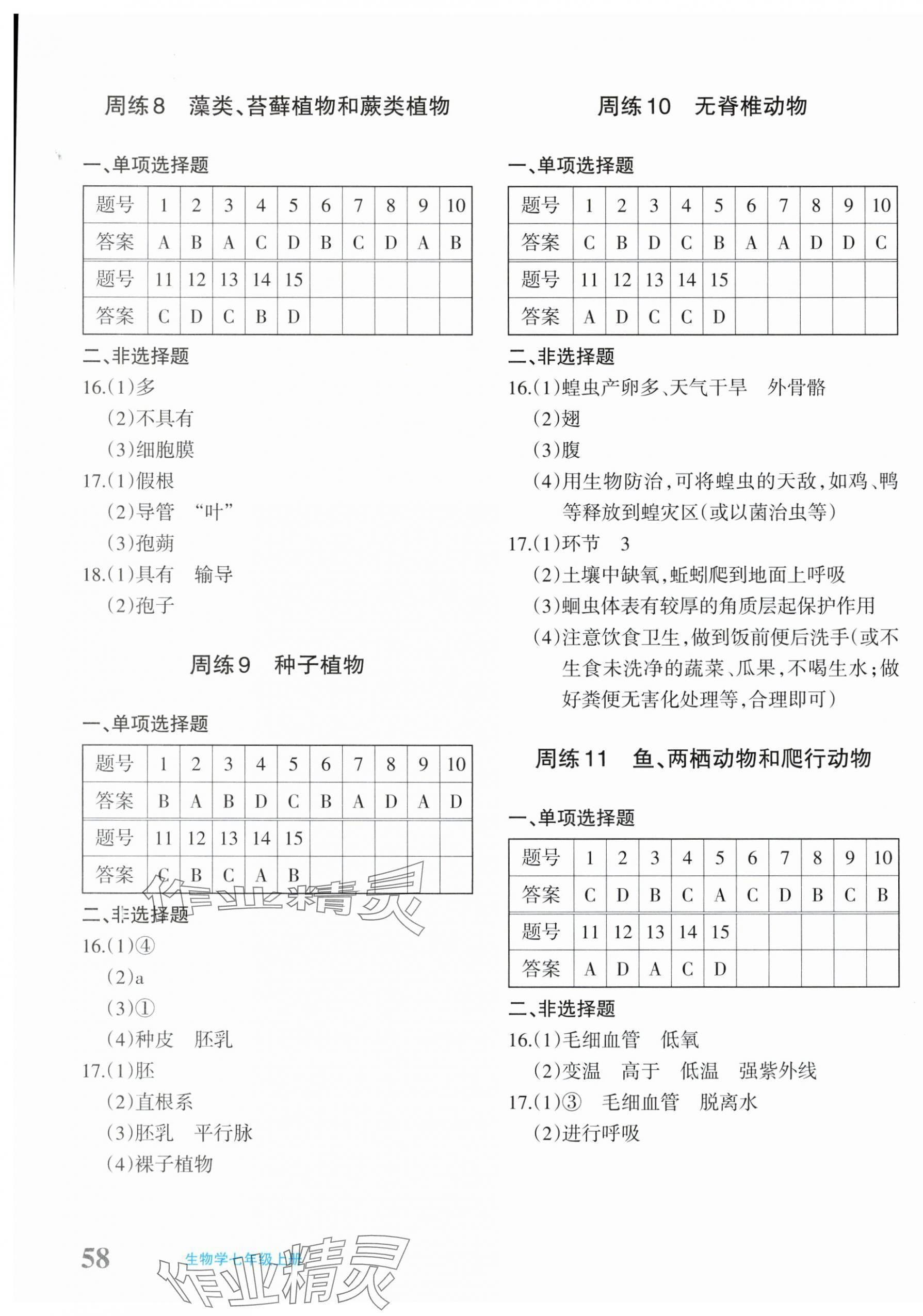 2025年优学1+1评价与测试七年级生物上册人教版 第3页